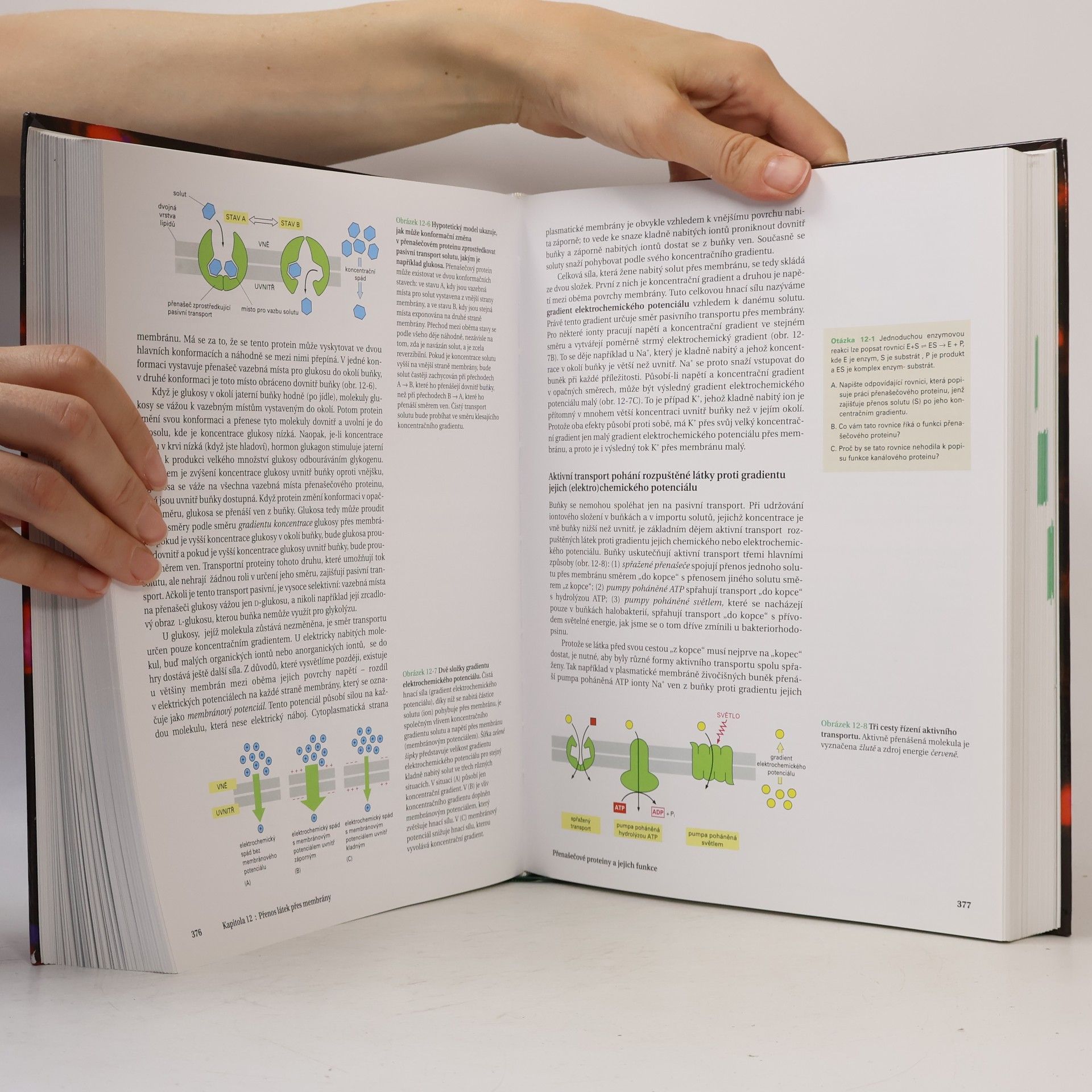 Bruce Alberts Základy buněčné biologie - Úvod do molekulární biologie buňky