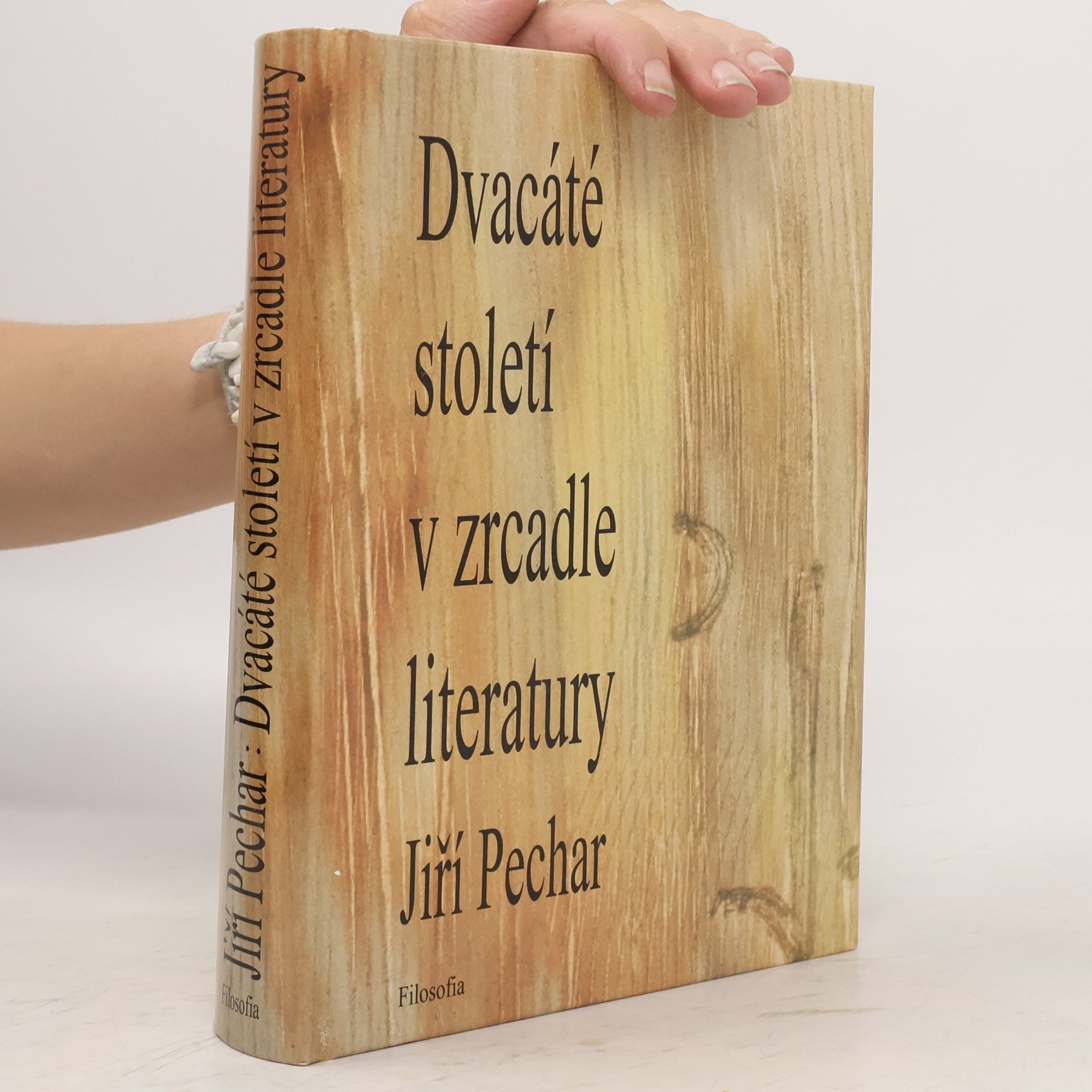 Dvacáté století v zrcadle literatury