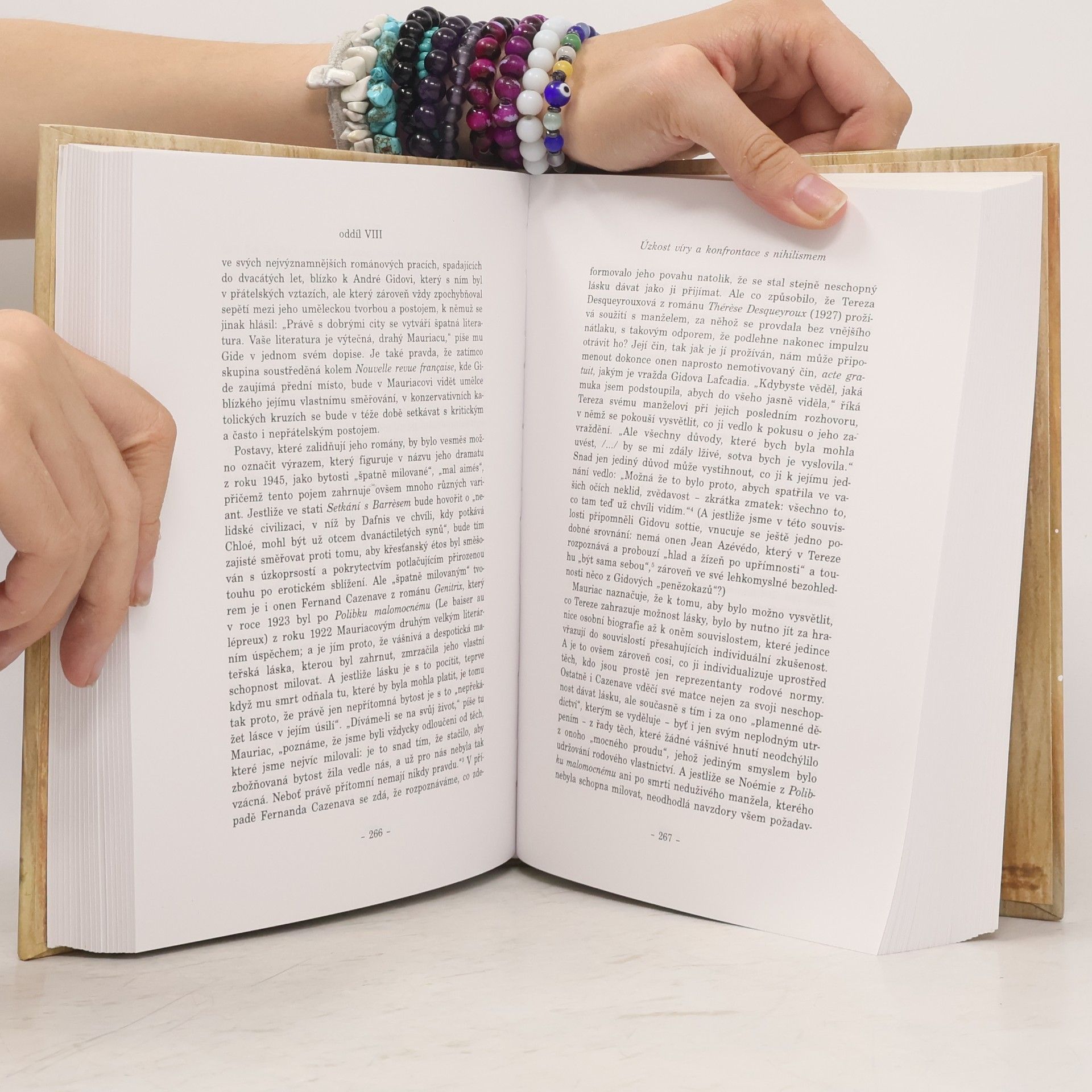 Jiří Pechar Dvacáté století v zrcadle literatury