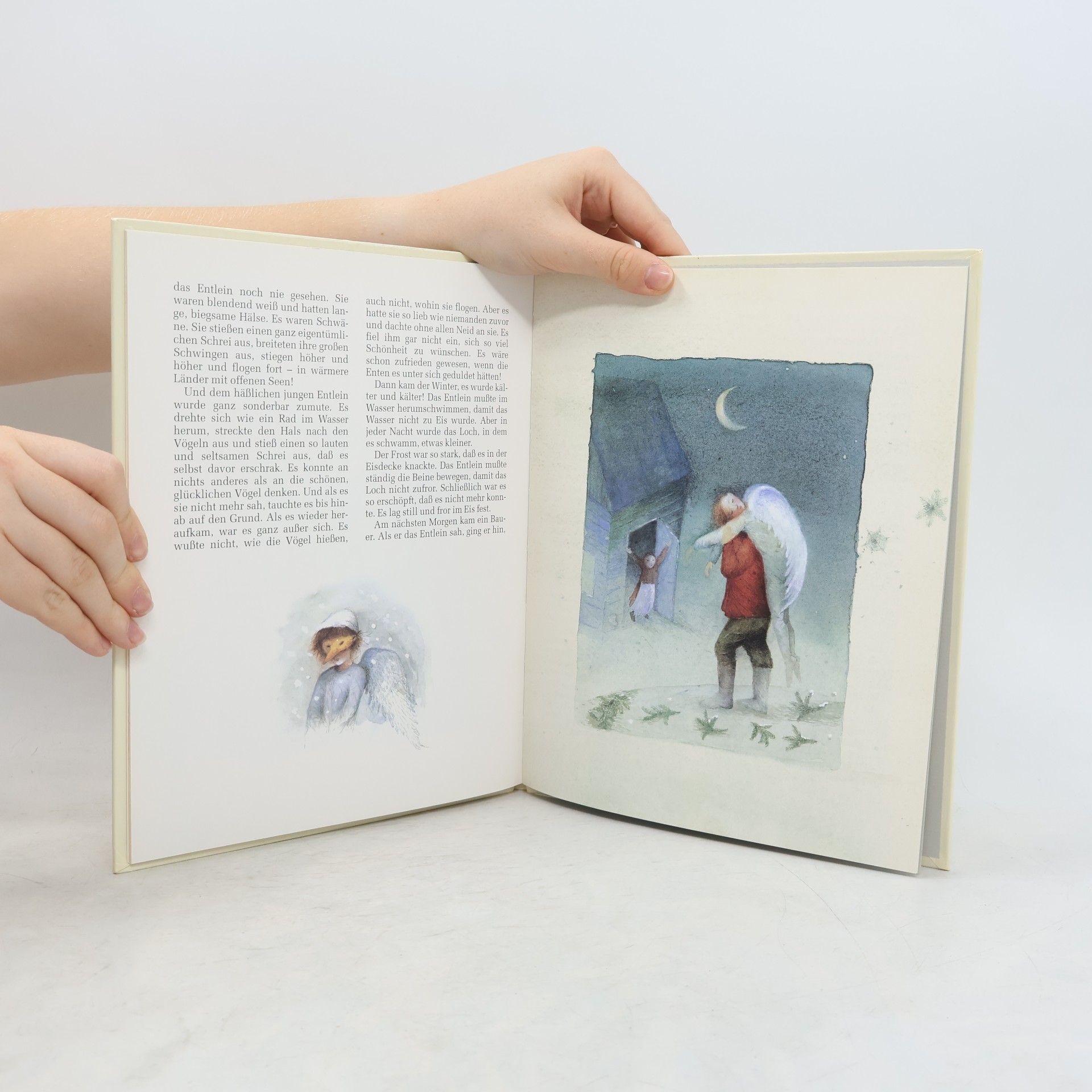 Hans Christian Andersen, Gebrüder Grimm Laimgruber Das häßliche Entlein