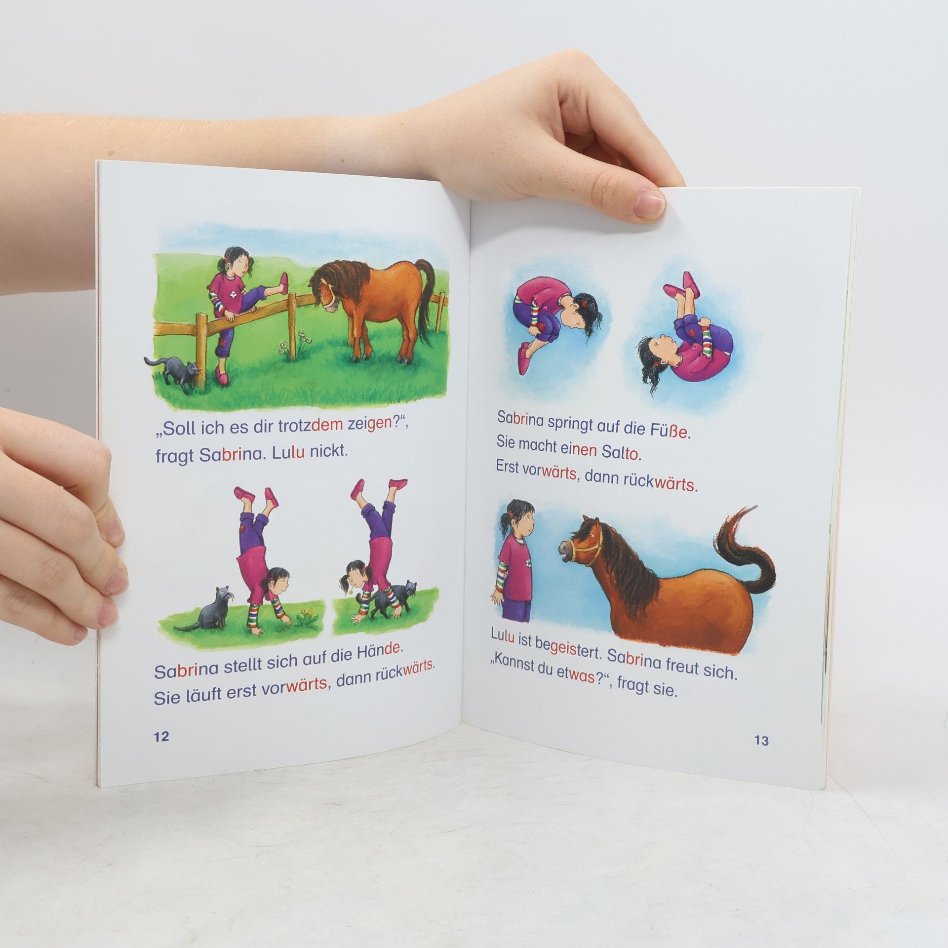 Doris Arend Das tollste Pony der Welt, Schulausgabe