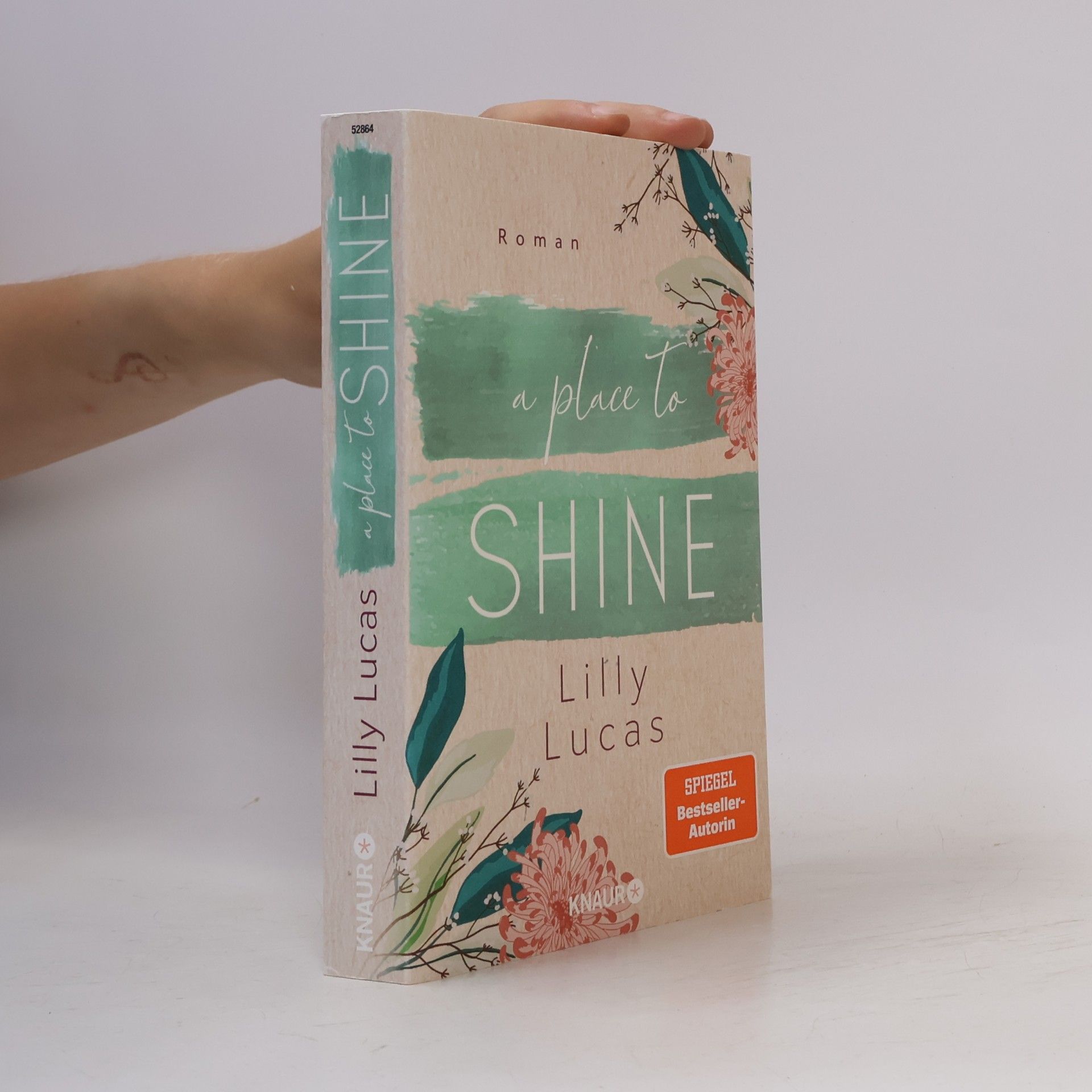 Lilly Lucas A Place to Shine