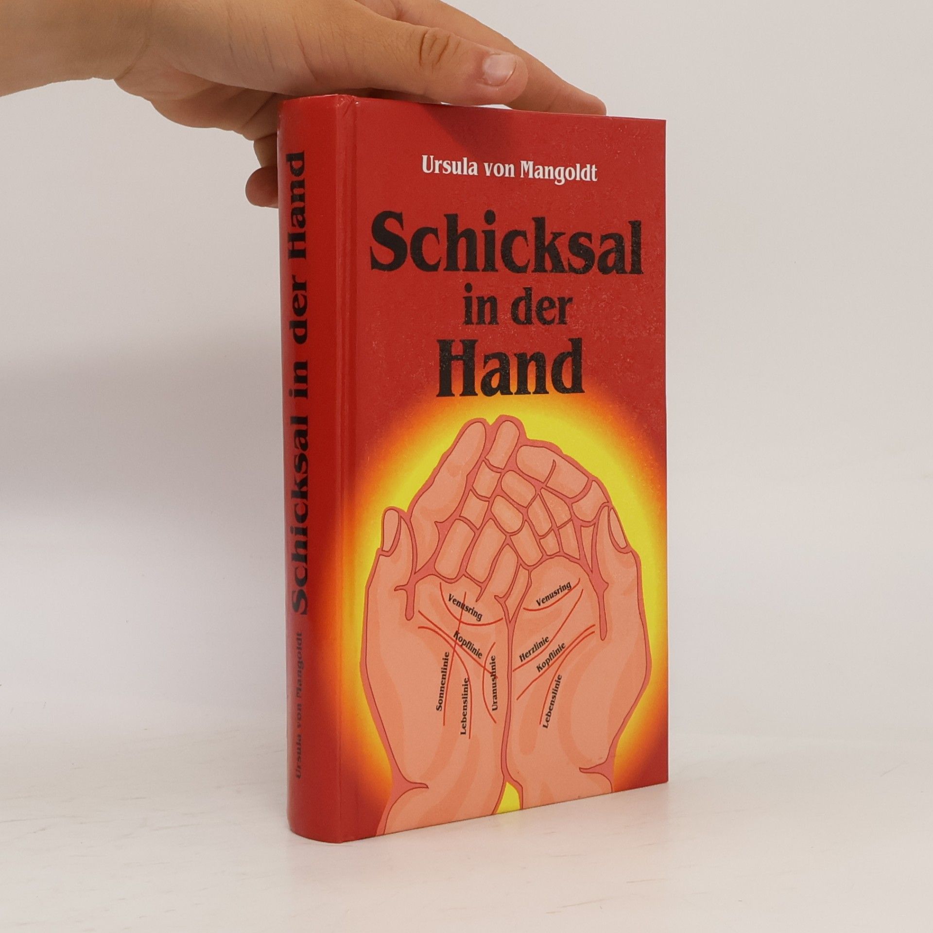 Ursula von Mangoldt Schicksal in der Hand