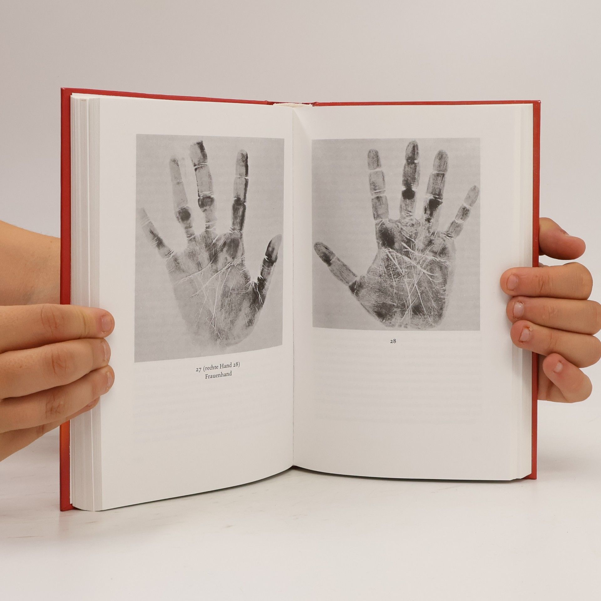 Ursula von Mangoldt Schicksal in der Hand