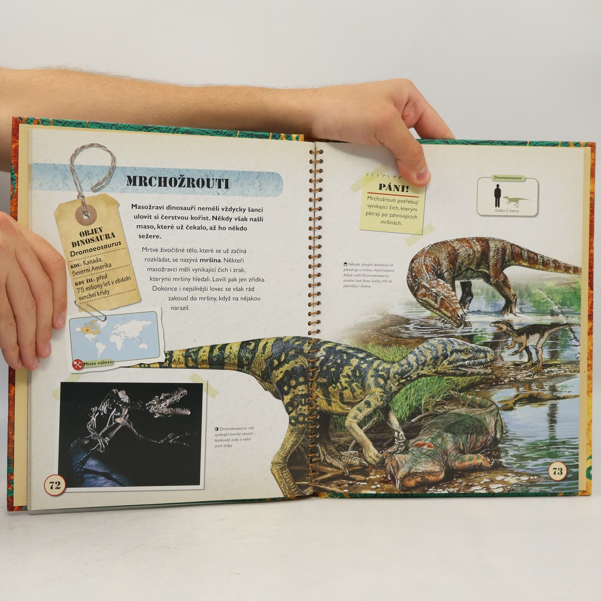 Rupert Matthews Velká kniha Dinosauři