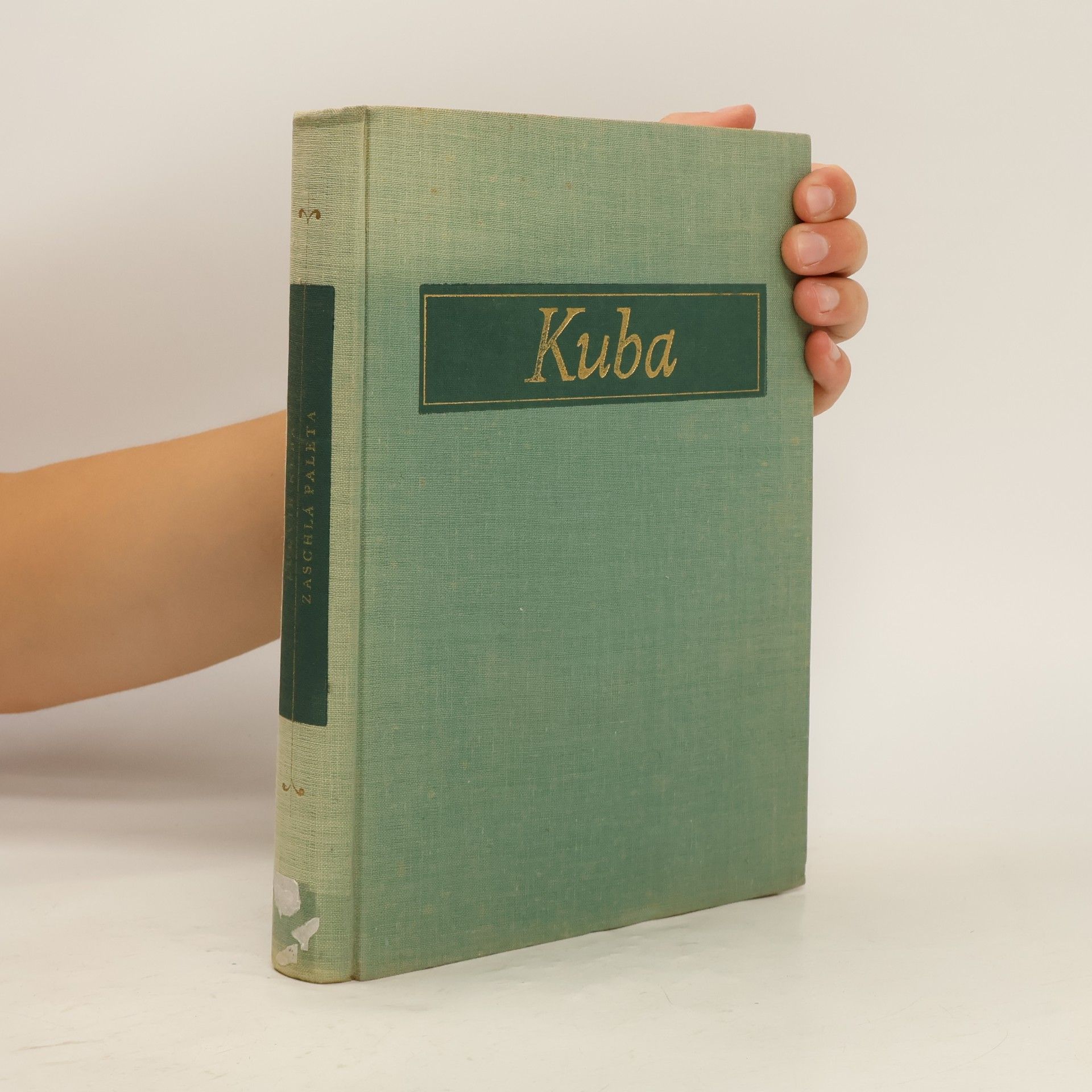 Ludvík Kuba Zaschlá paleta