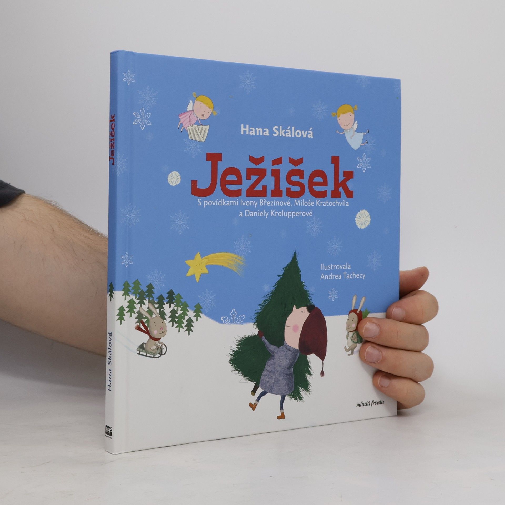 Hana Skalová Ježíšek