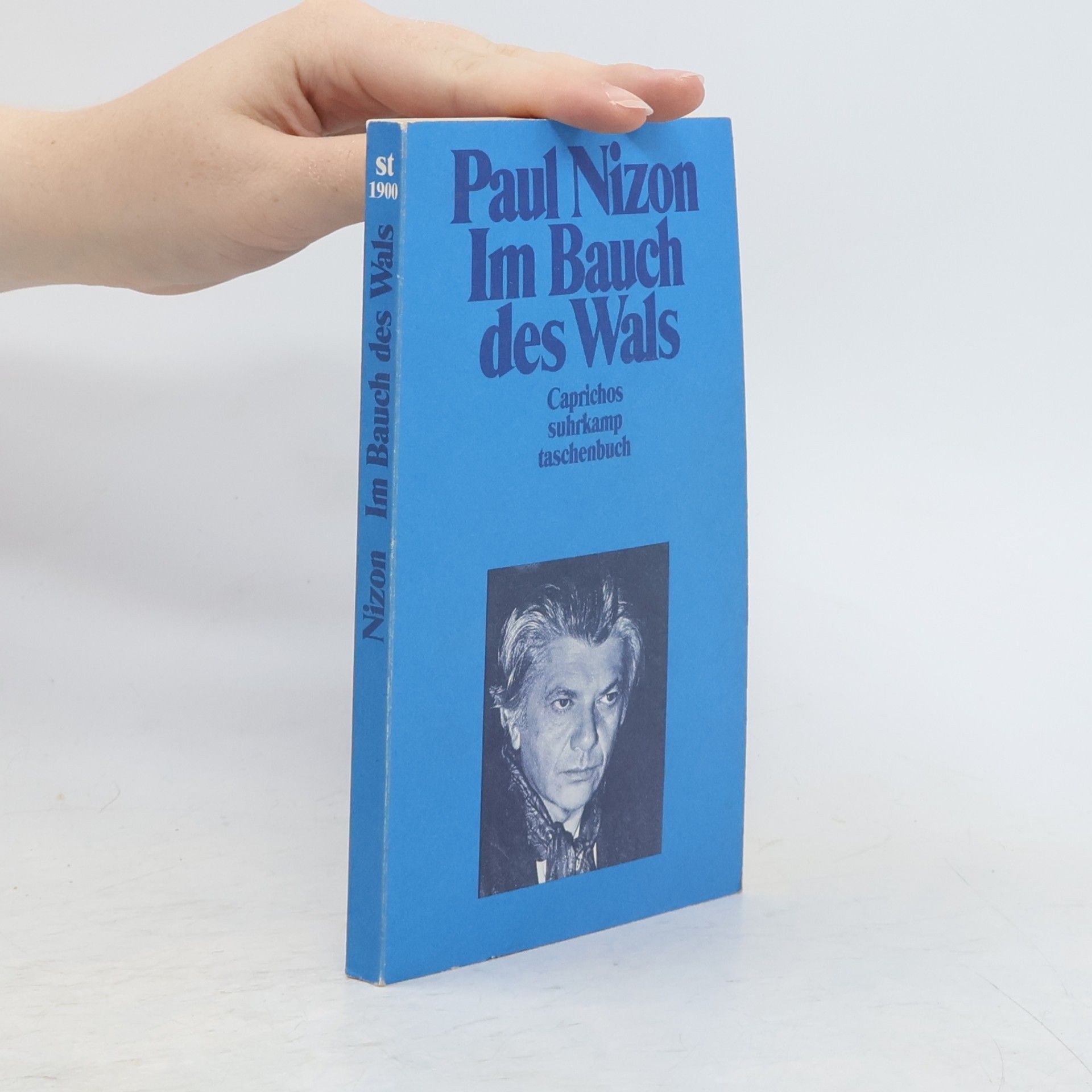 Paul Nizon Im Bauch des Wals