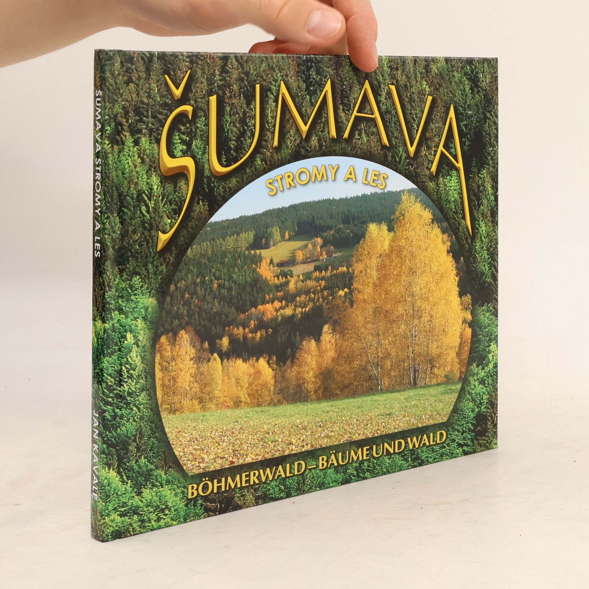 Jan Kavale Šumava. Stromy a les. Böhmerwald. Bäume und Wald