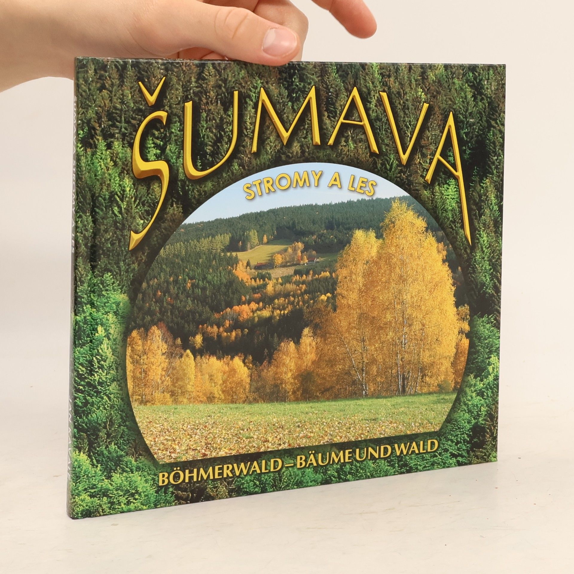 Jan Kavale Šumava. Stromy a les. Böhmerwald. Bäume und Wald