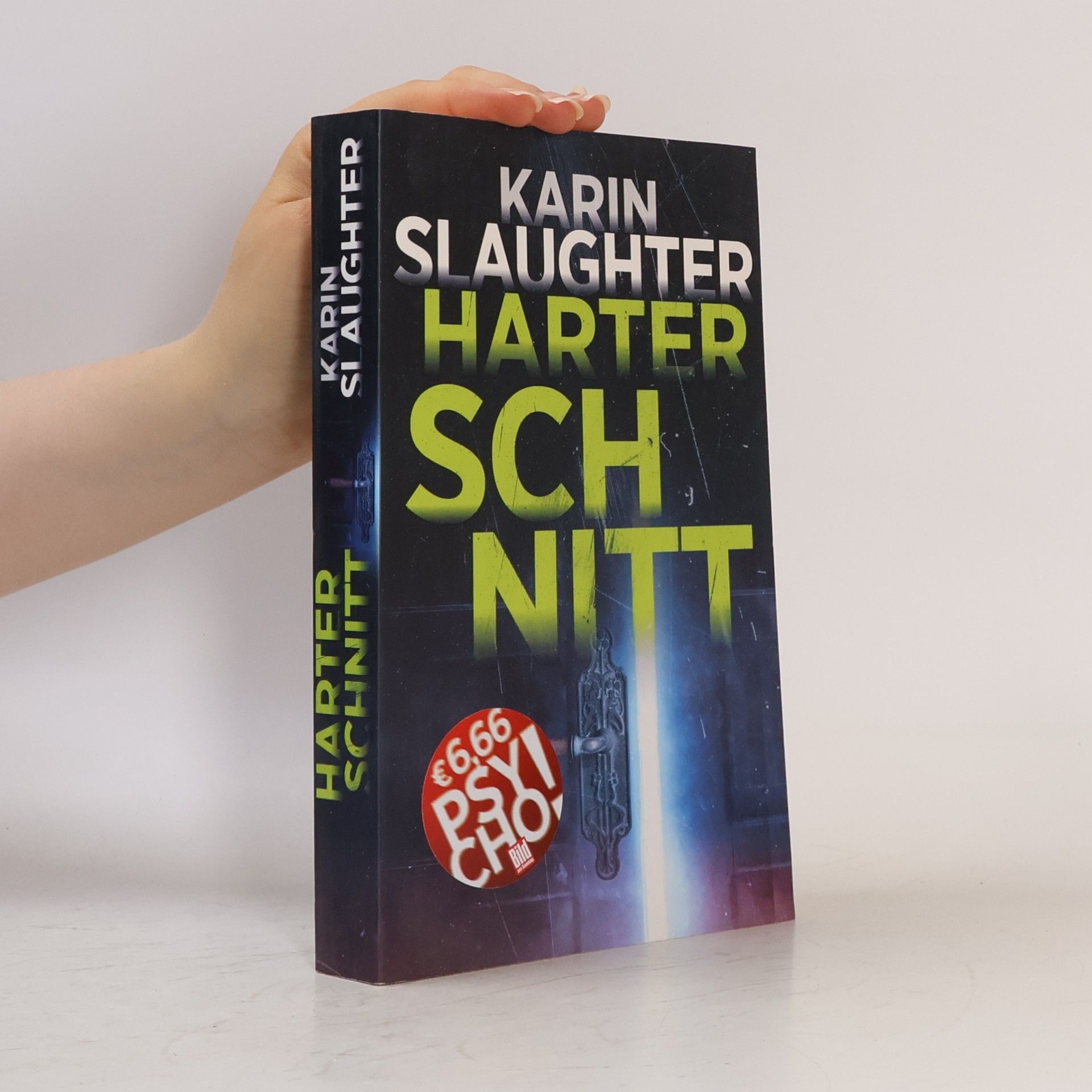 Karin Slaughter Harter Schnitt