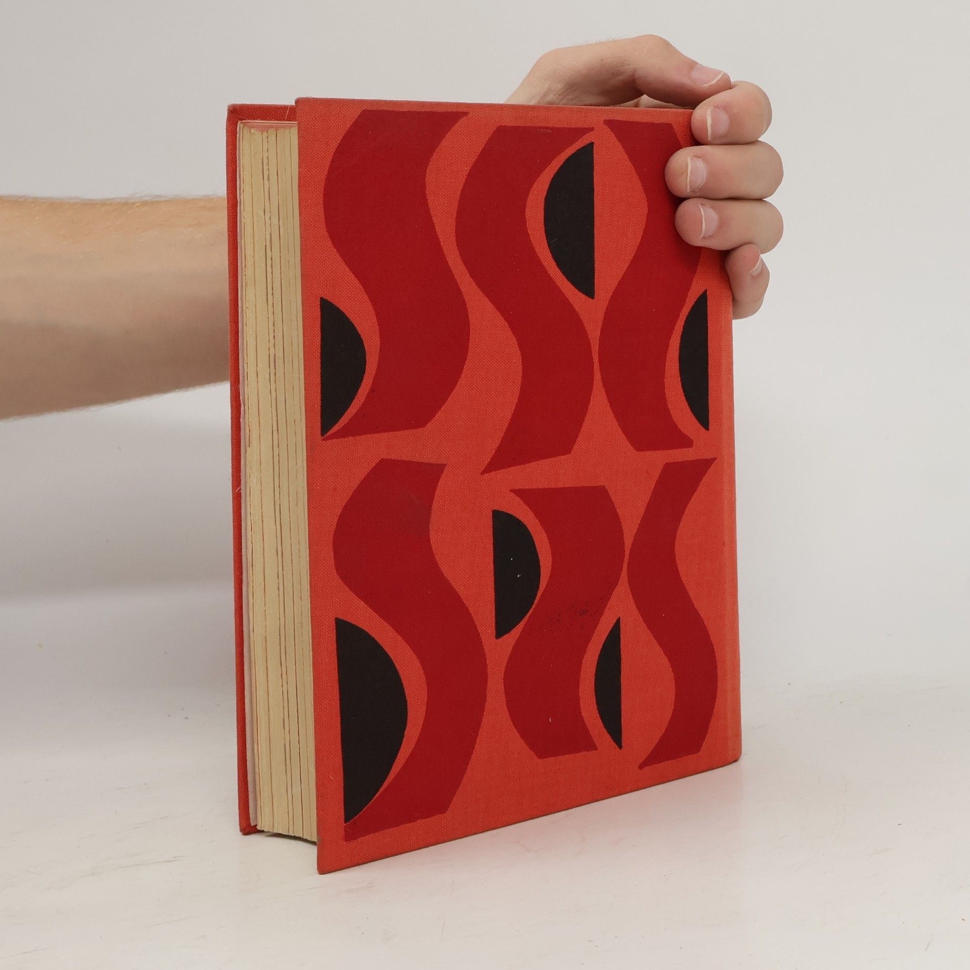 Collectif d'auteurs Oheň a růže