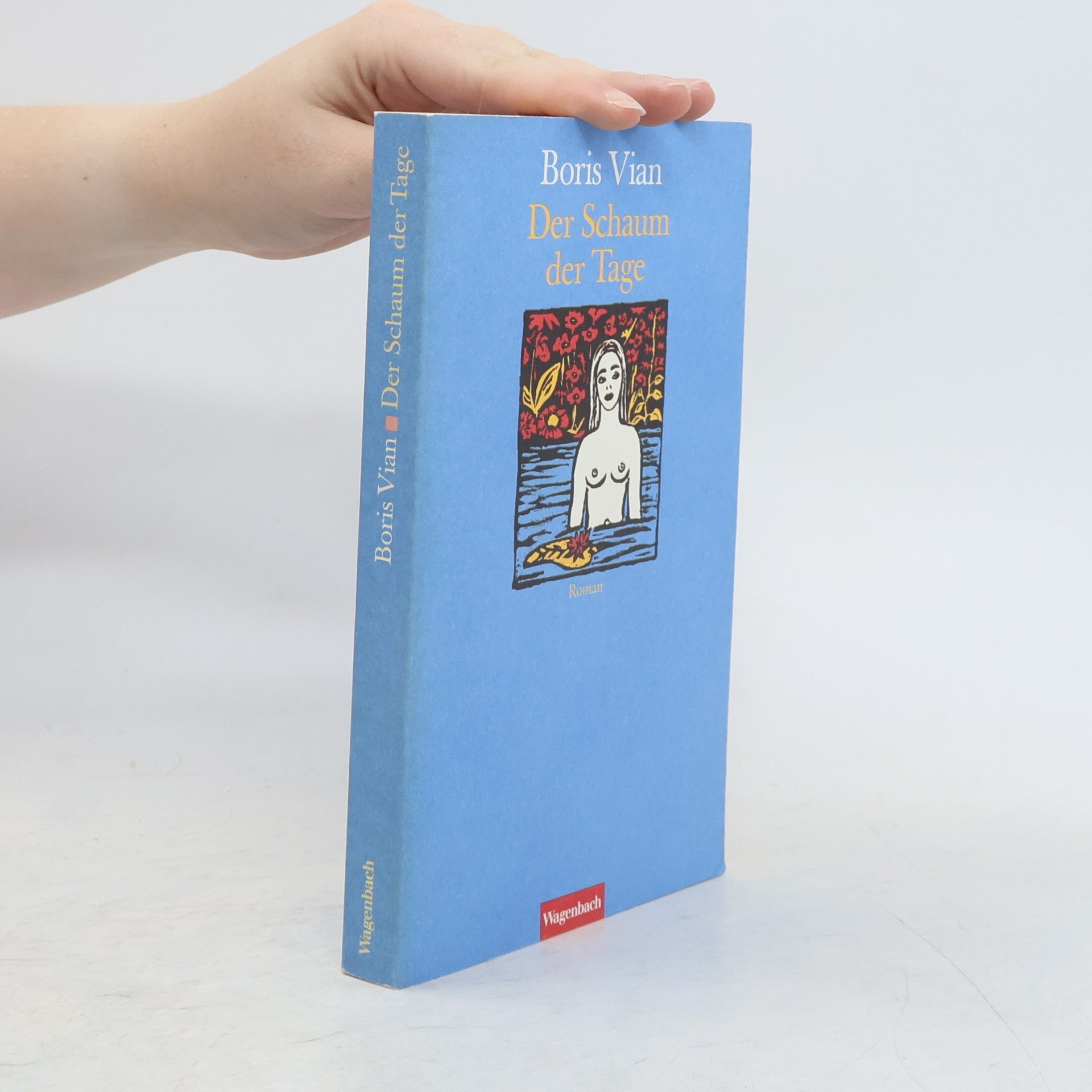 Boris Vian Der Schaum der Tage