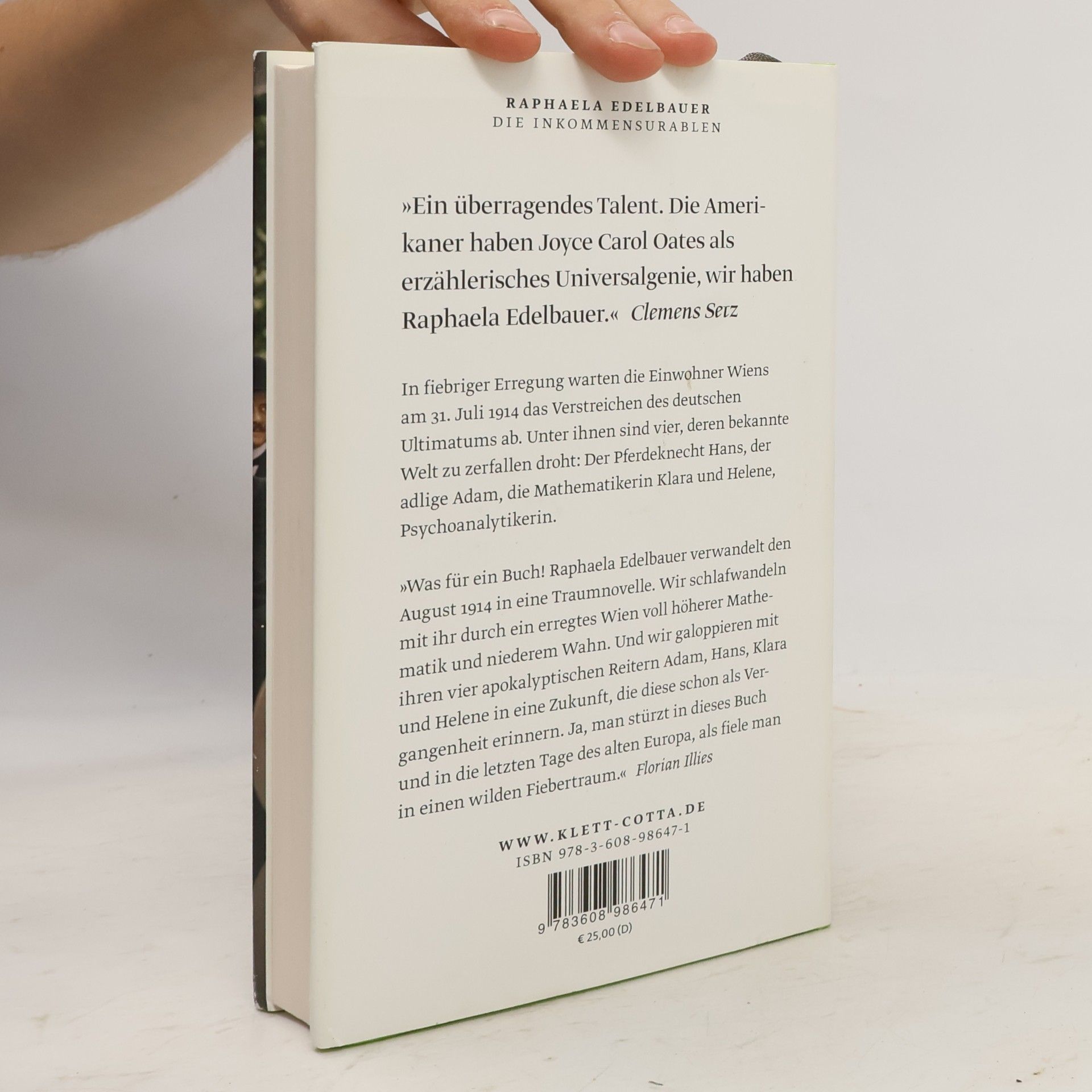 Raphaela Edelbauer Die Inkommensurablen