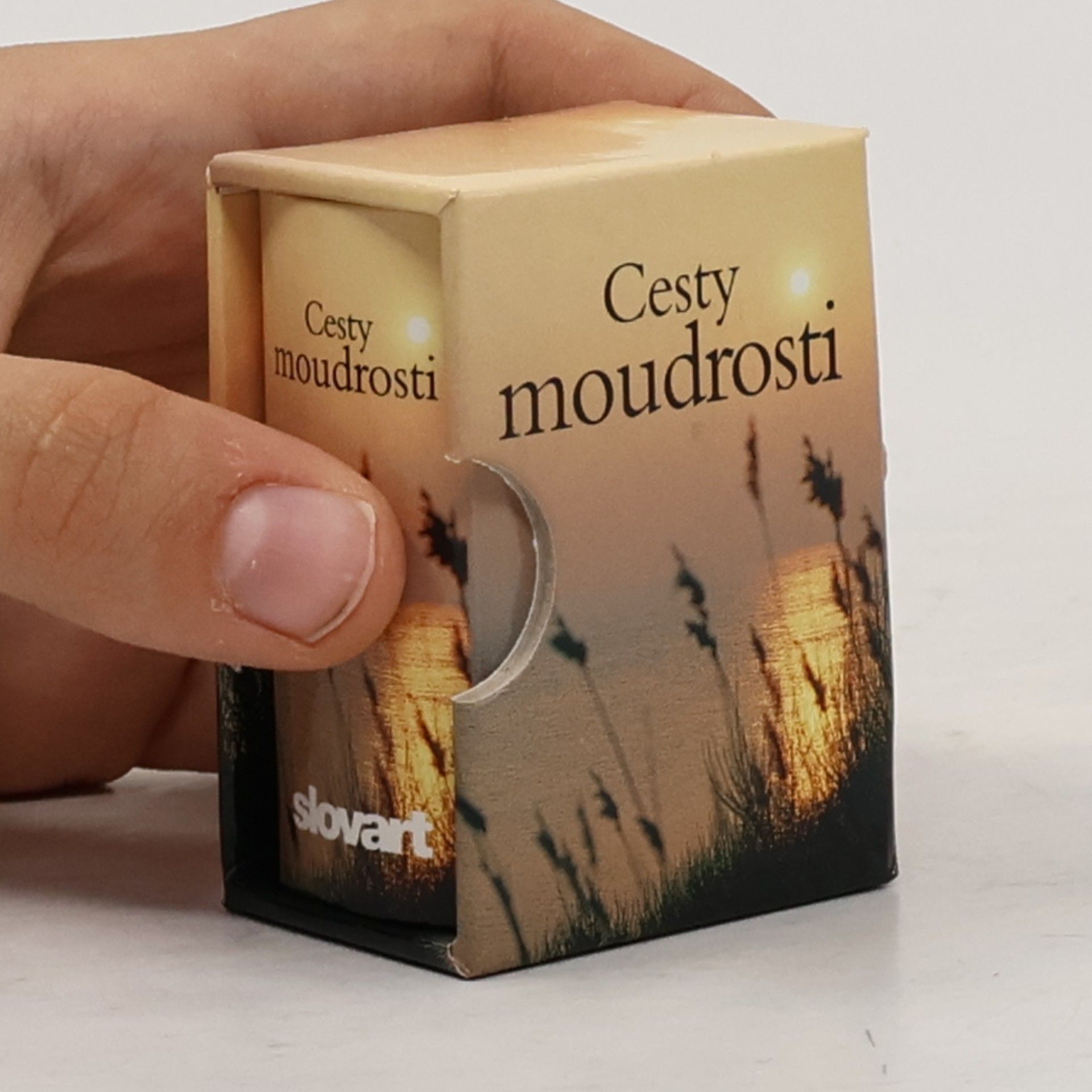 Cesty moudrosti