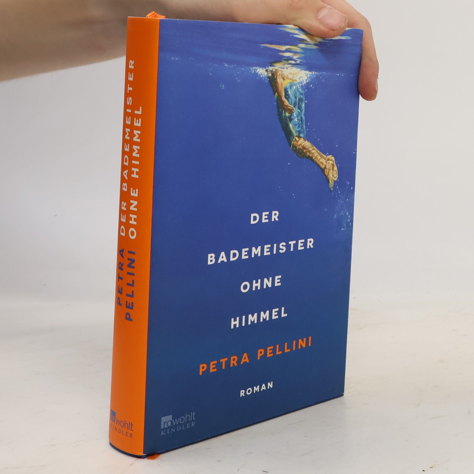 Petra Pellini Der Bademeister ohne Himmel