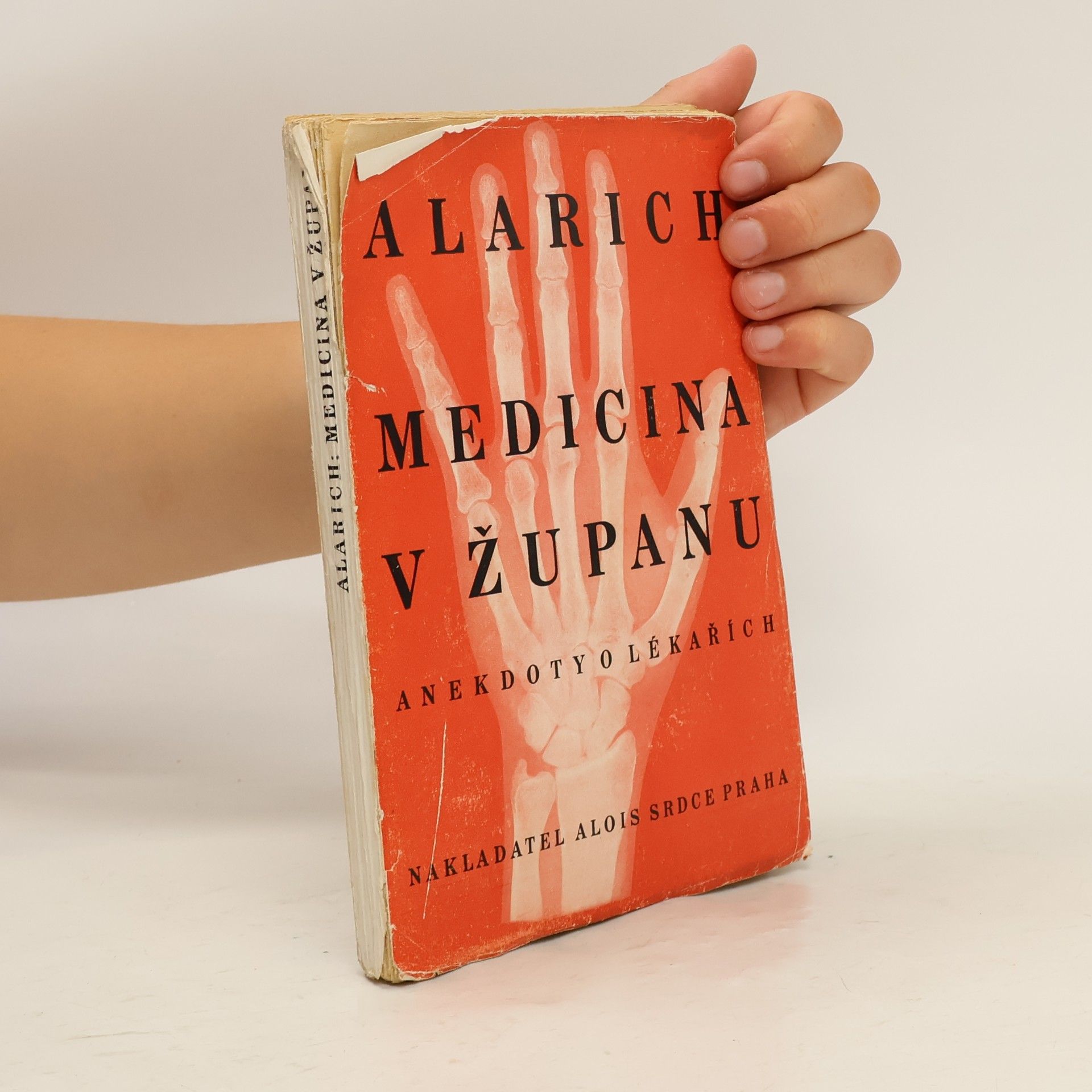 Alarich Medicina v županu
