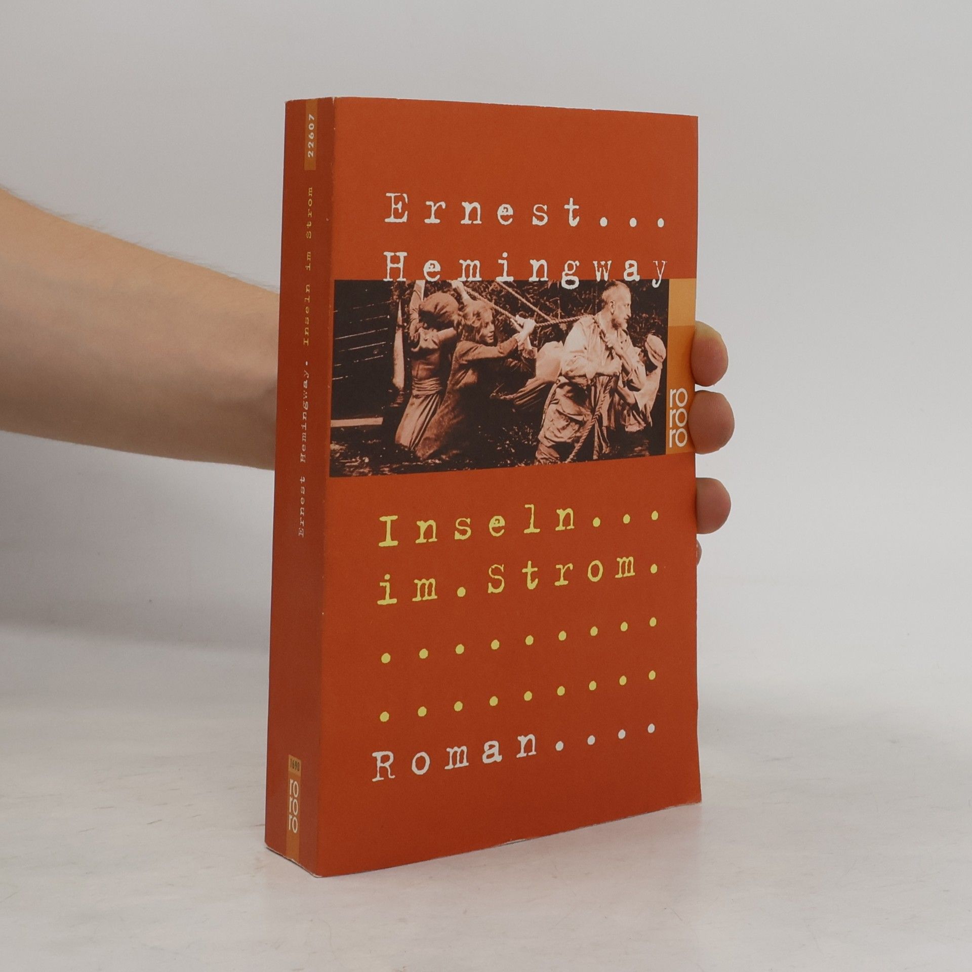Ernest Hemingway Inseln im Strom