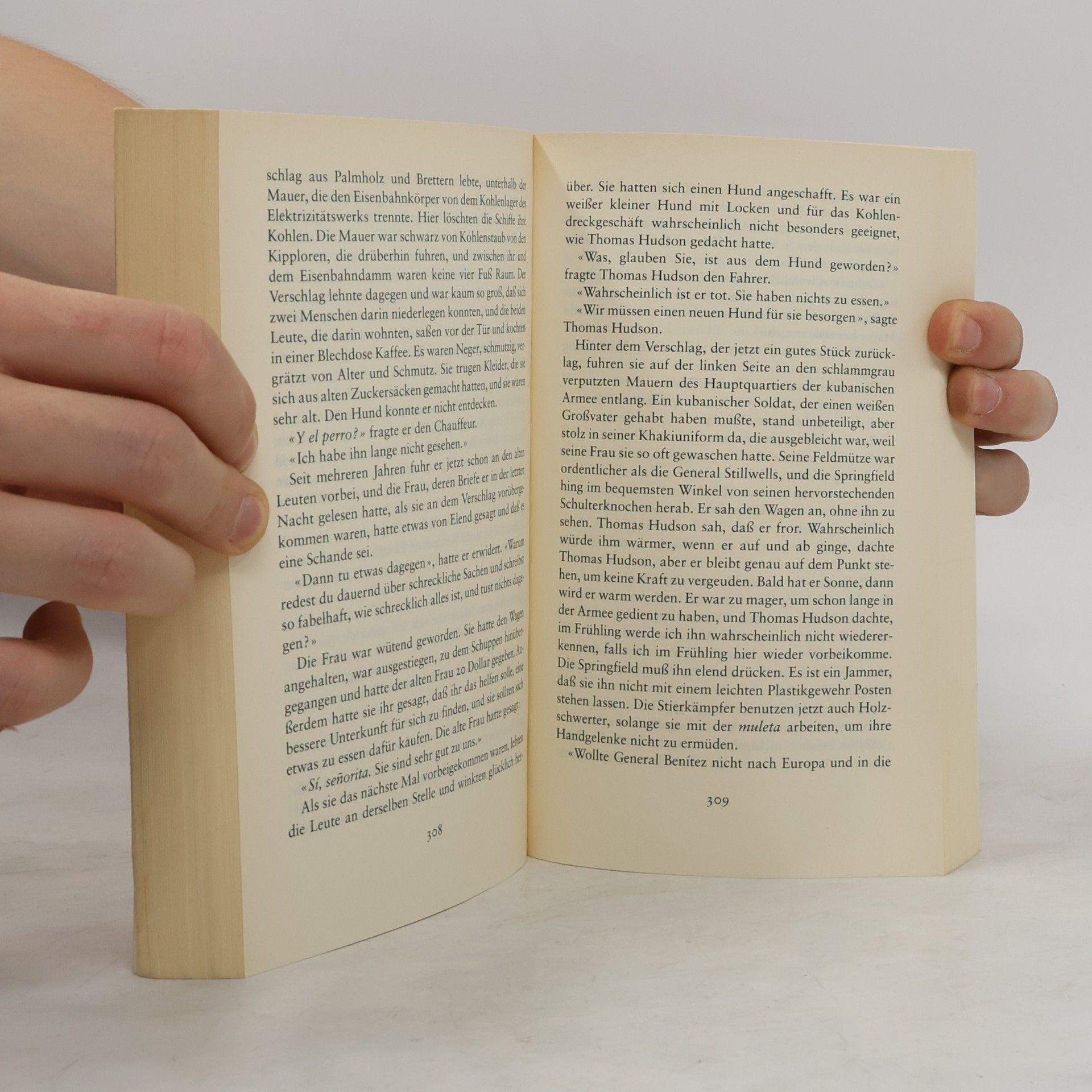 Ernest Hemingway Inseln im Strom