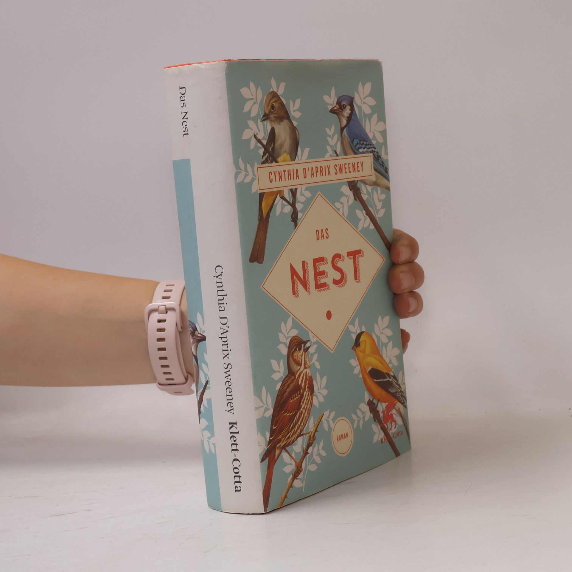 Cynthia D'Aprix Sweeney Das Nest