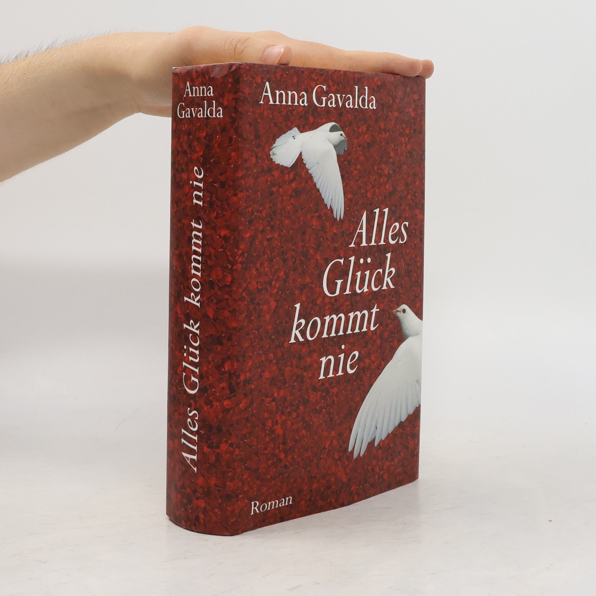 Anna Gavalda Alles Glück kommt nie