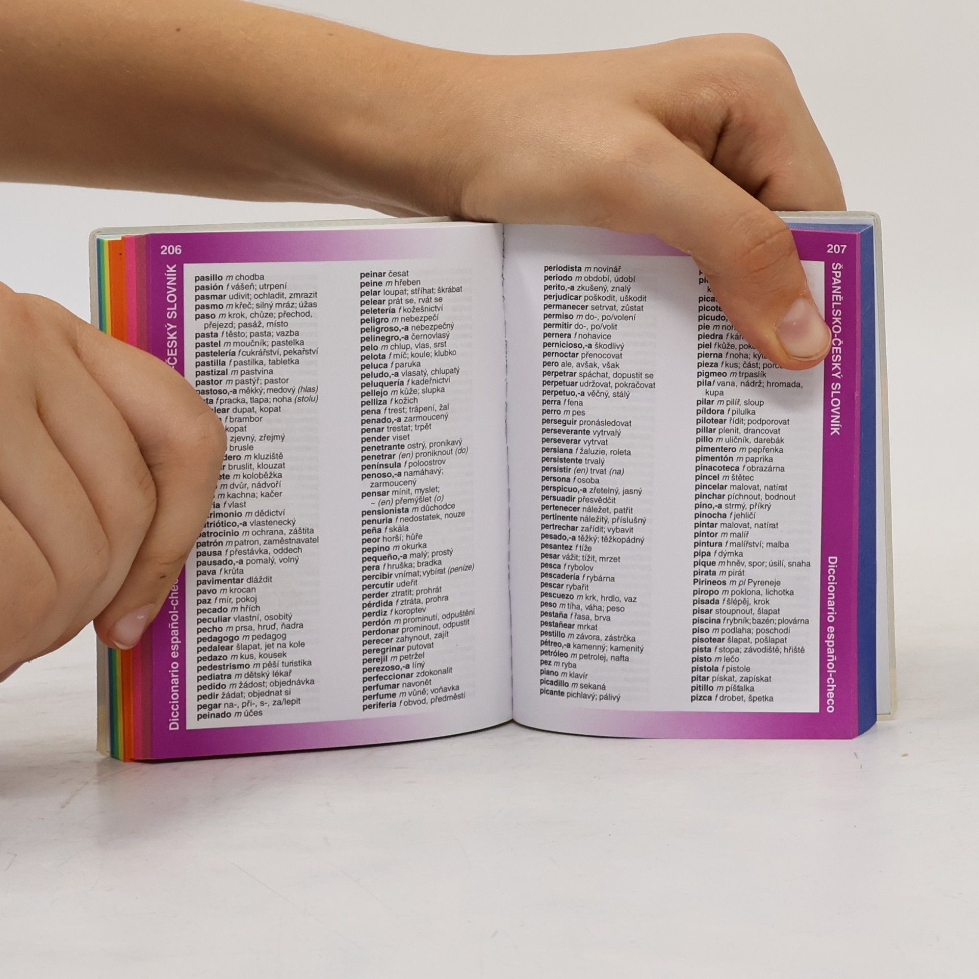 Autorenkollektiv Španělština. Konverzace & slovník