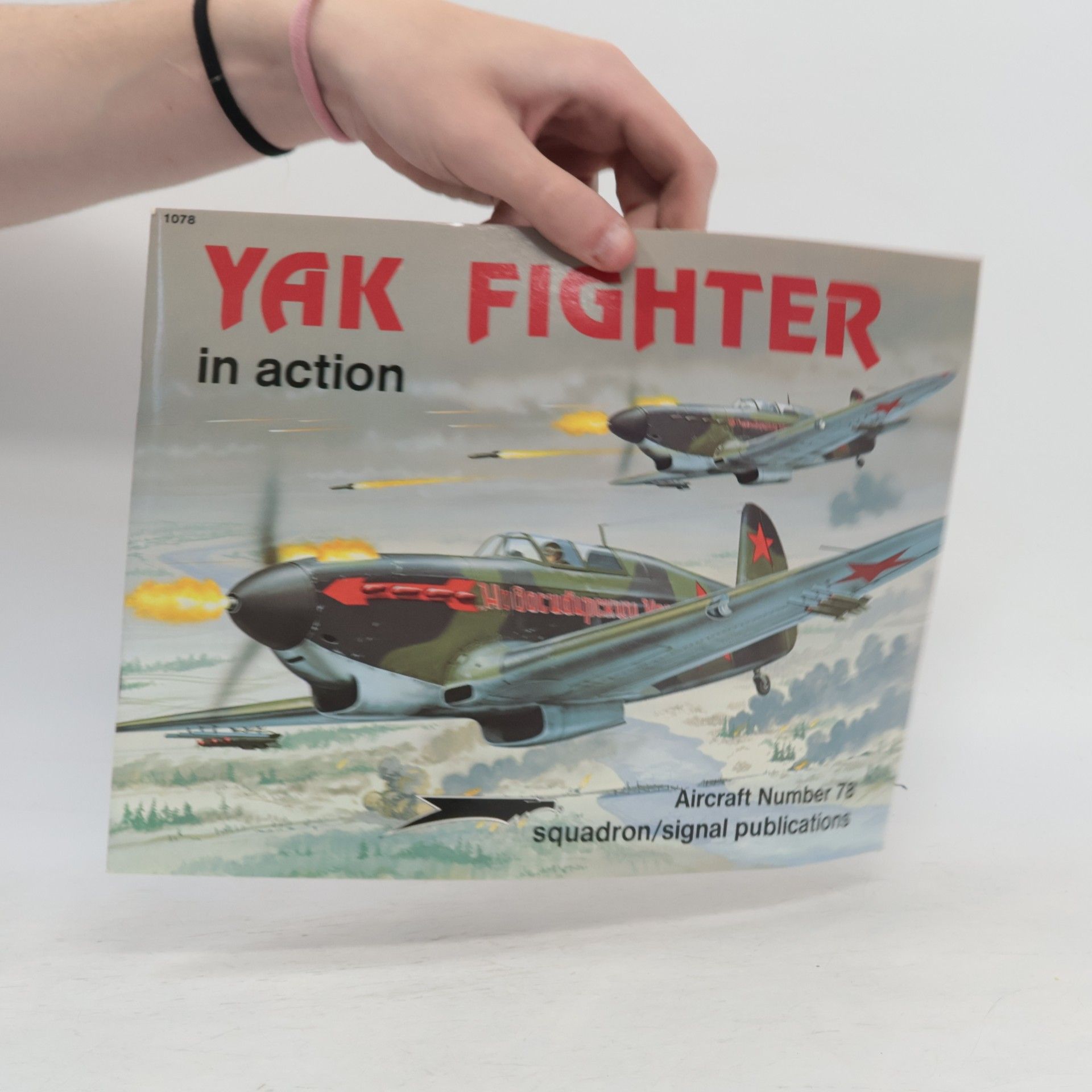 Yak Fighter In Action