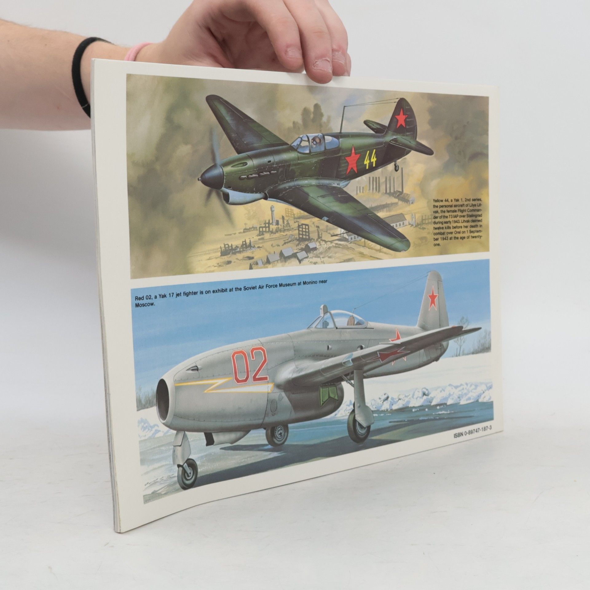 Joe Sewell Yak Fighter In Action