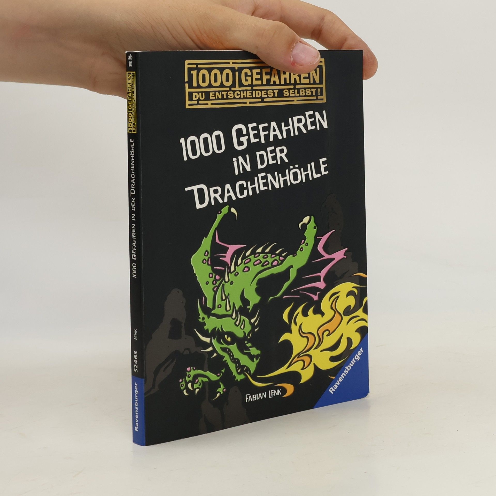 Fabian Lenk 1000 Gefahren in der Drachenhöhle