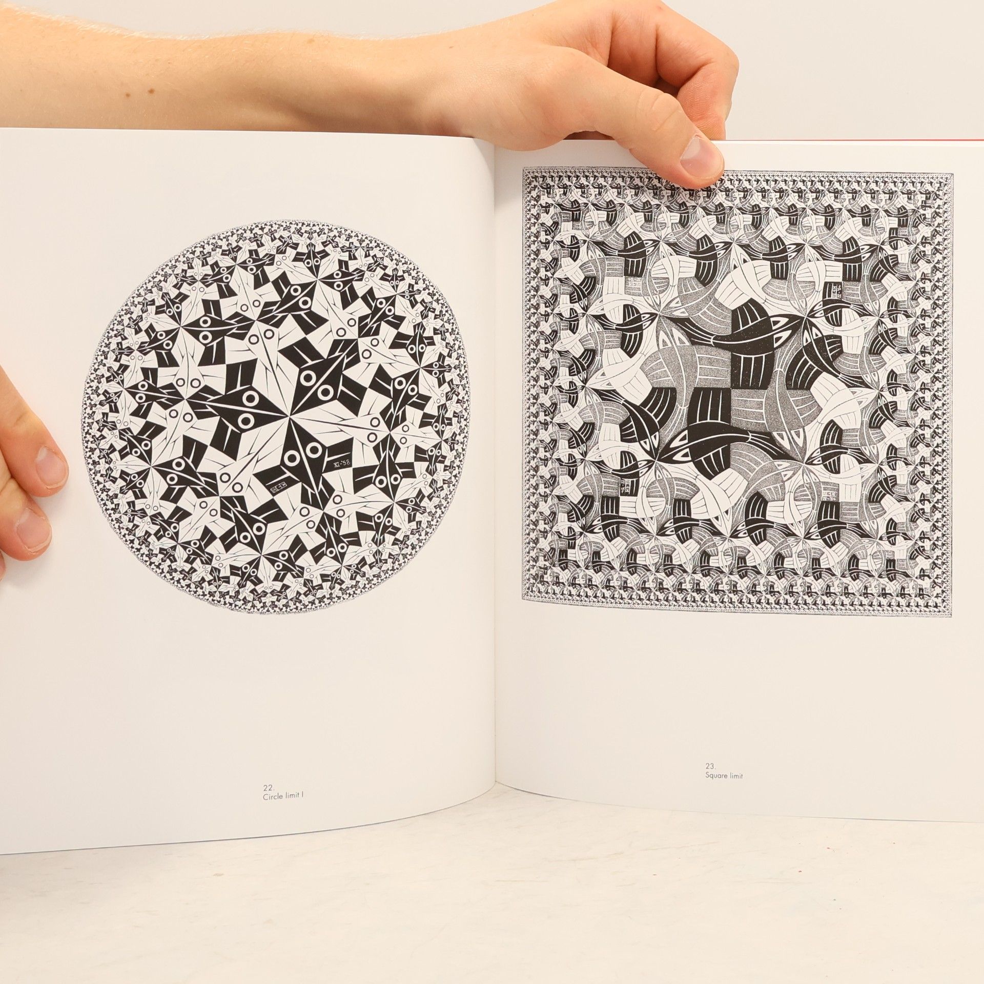 M. C. Escher M. C. Escher: Grafika a kresby
