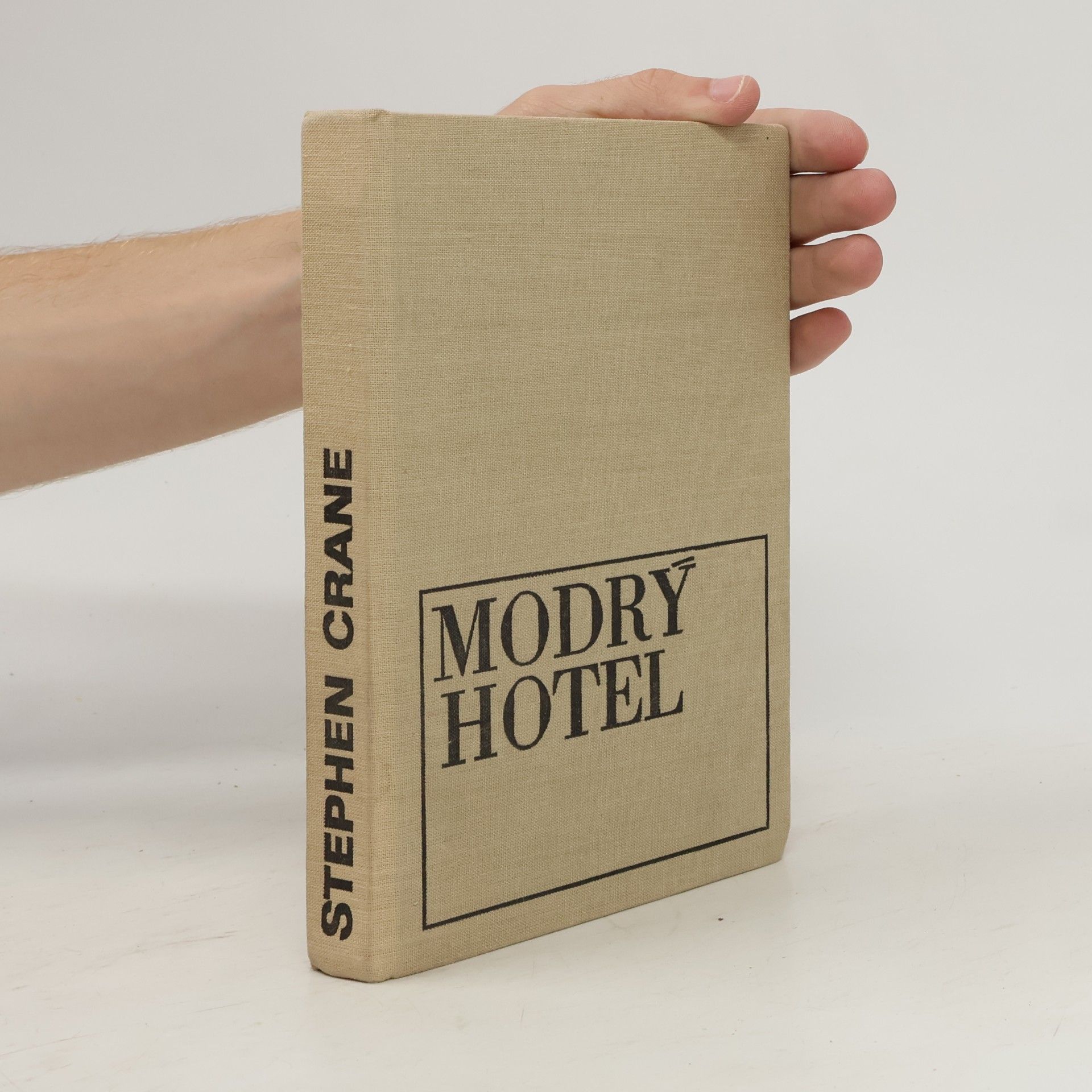 Stephen Crane Modrý hotel