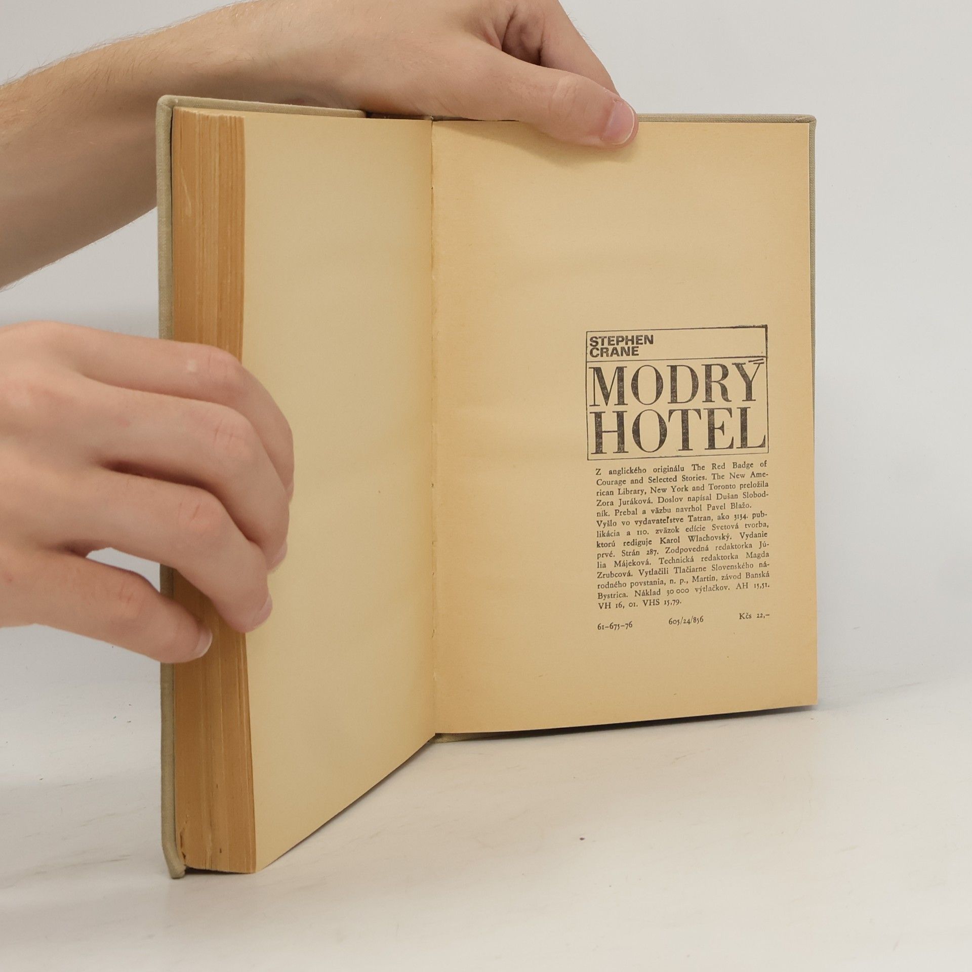 Stephen Crane Modrý hotel