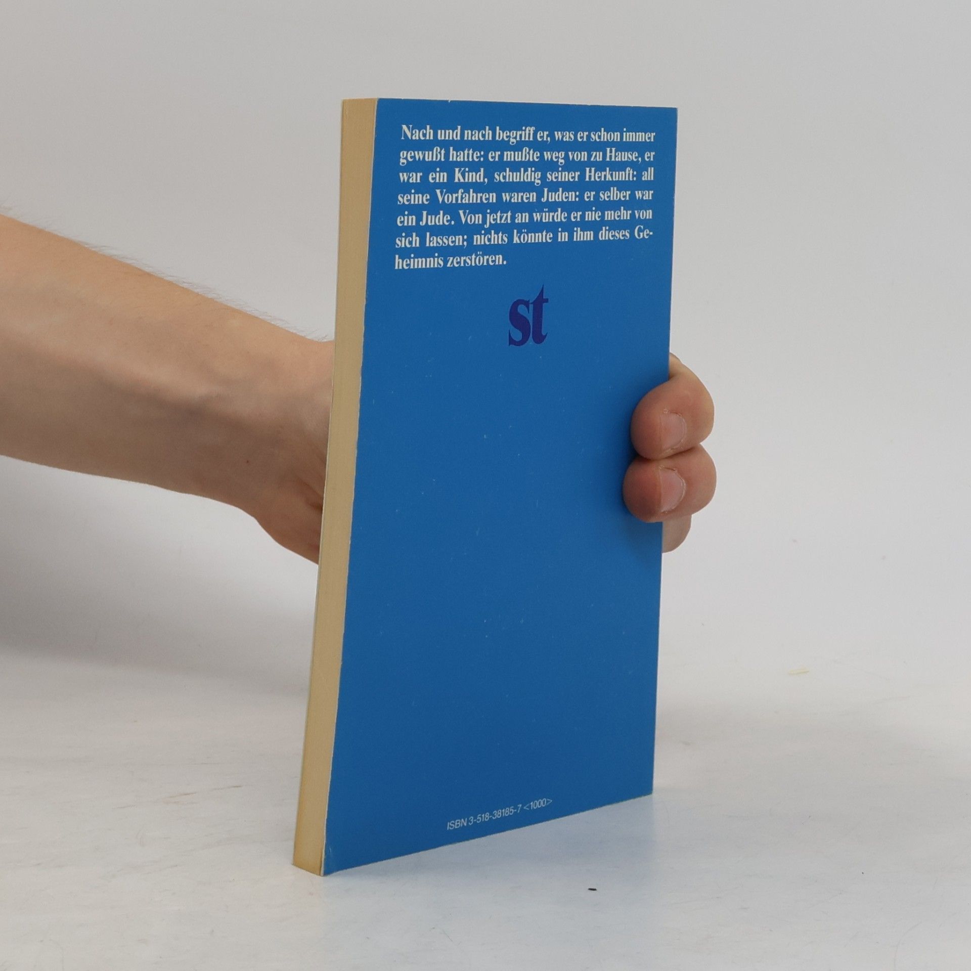 Georges-Arthur Goldschmidt Suhrkamp Taschenbuch: Der Spiegeltag