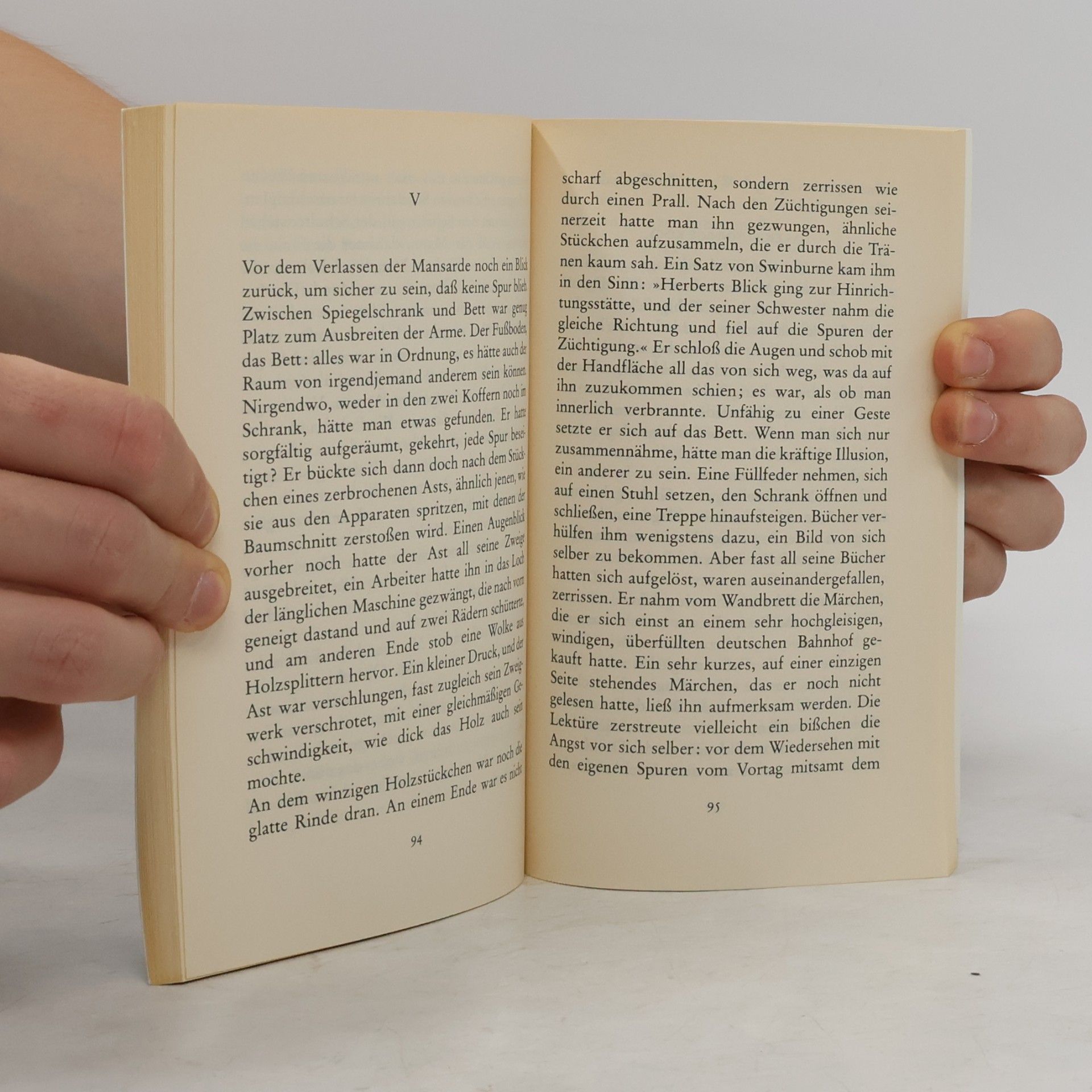 Georges-Arthur Goldschmidt Suhrkamp Taschenbuch: Der Spiegeltag