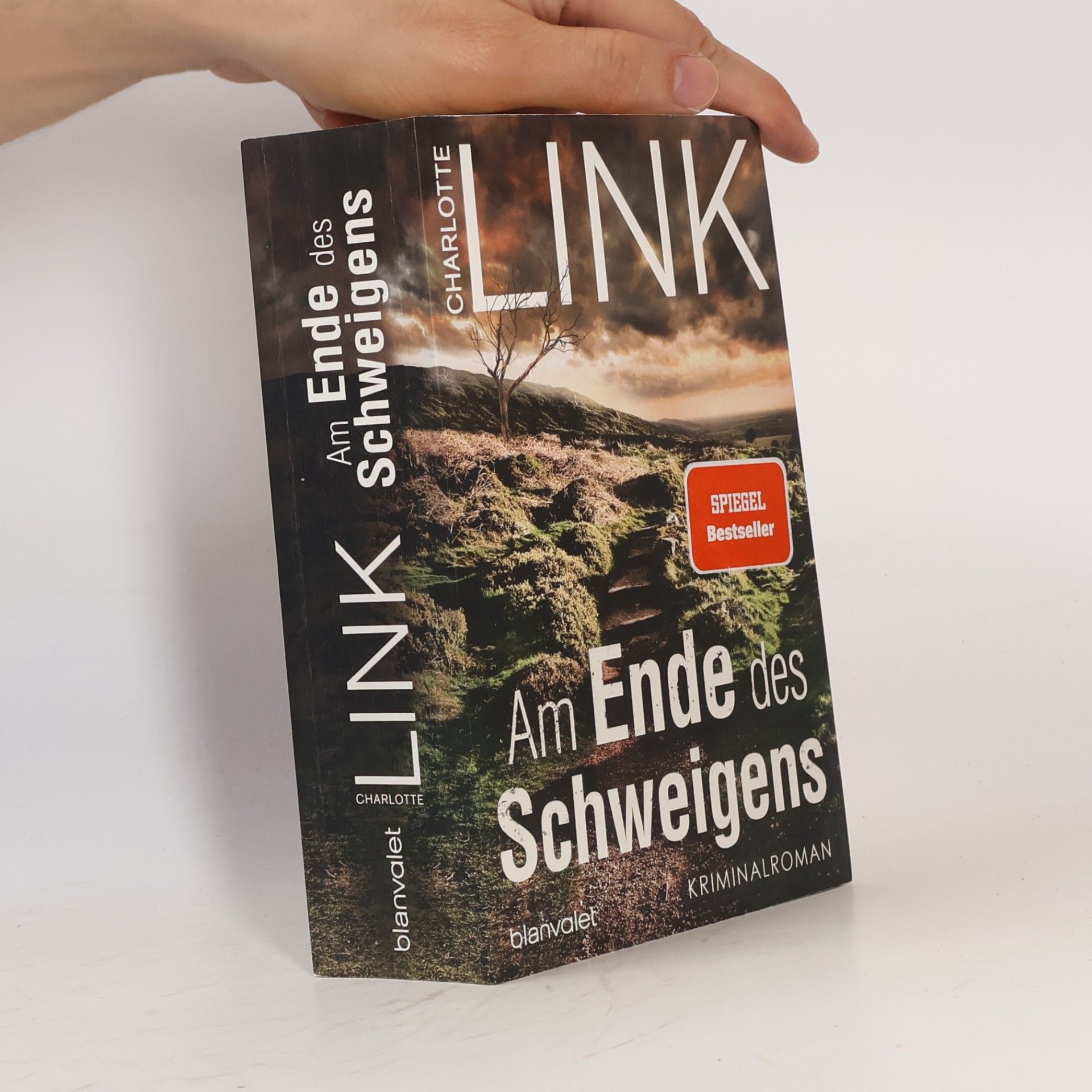 Charlotte Link Am Ende des Schweigens