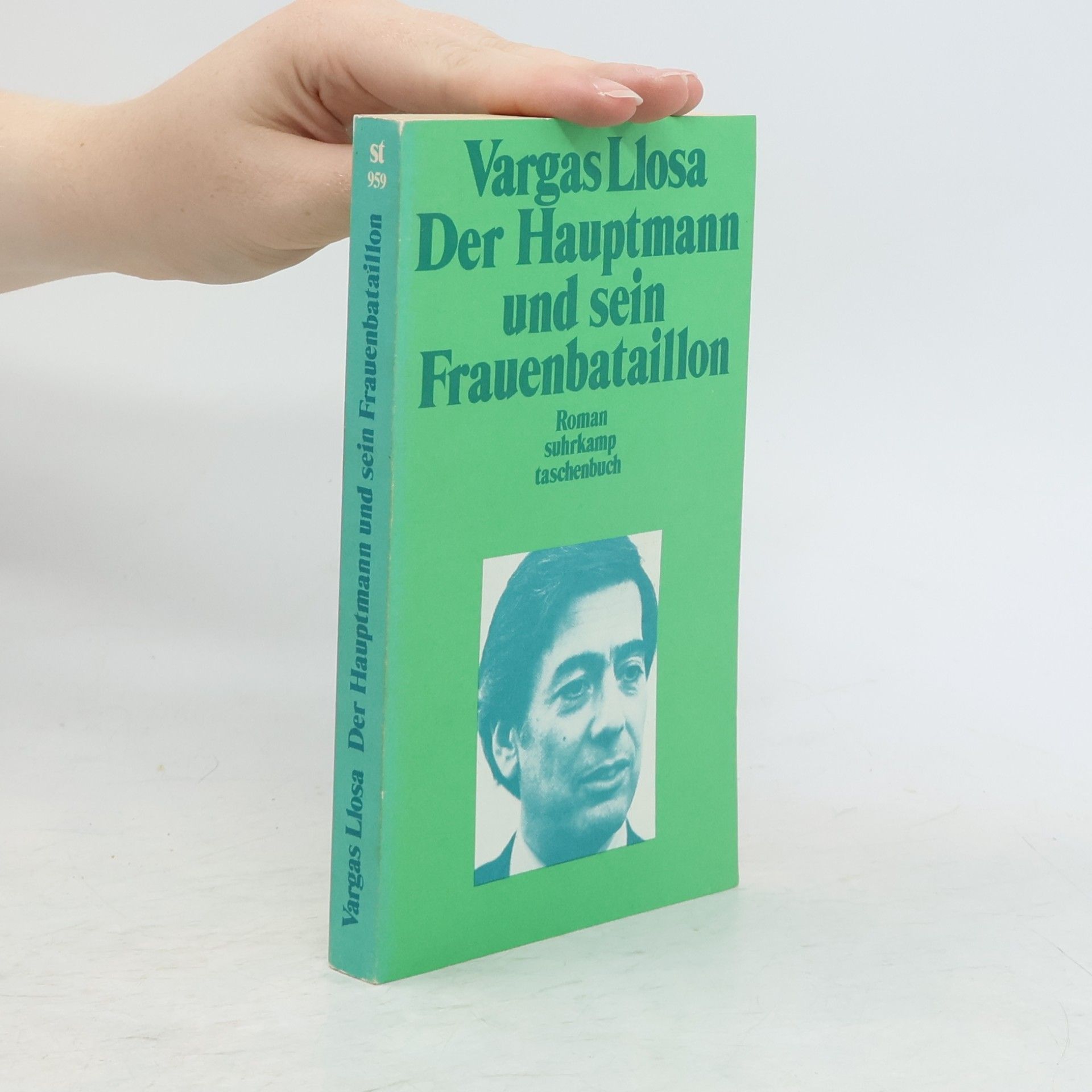 Mario Vargas Llosa Der Hauptmann und sein Frauenbataillon