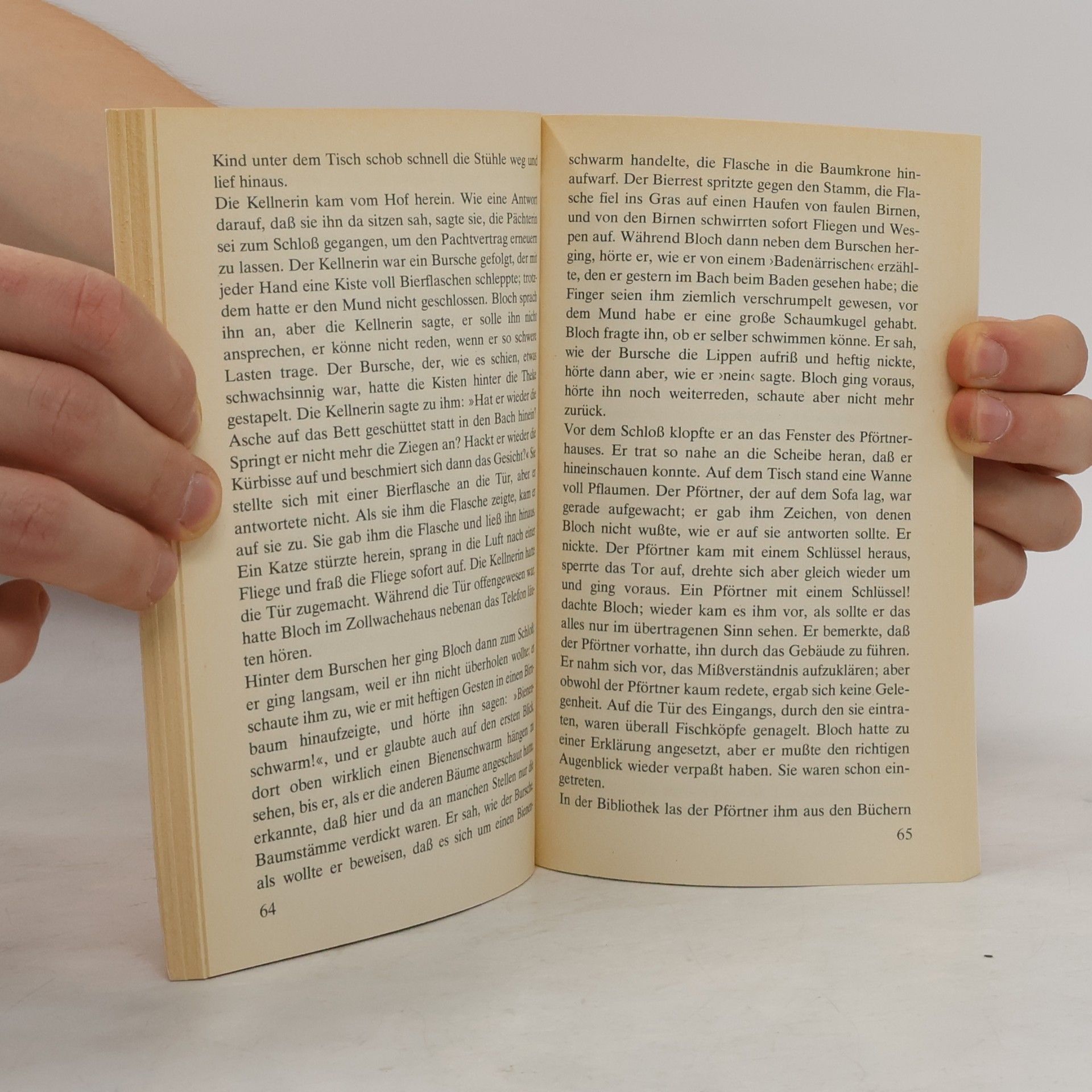 Peter Handke Die Angst Des Tormanns Beim Elfmeter
