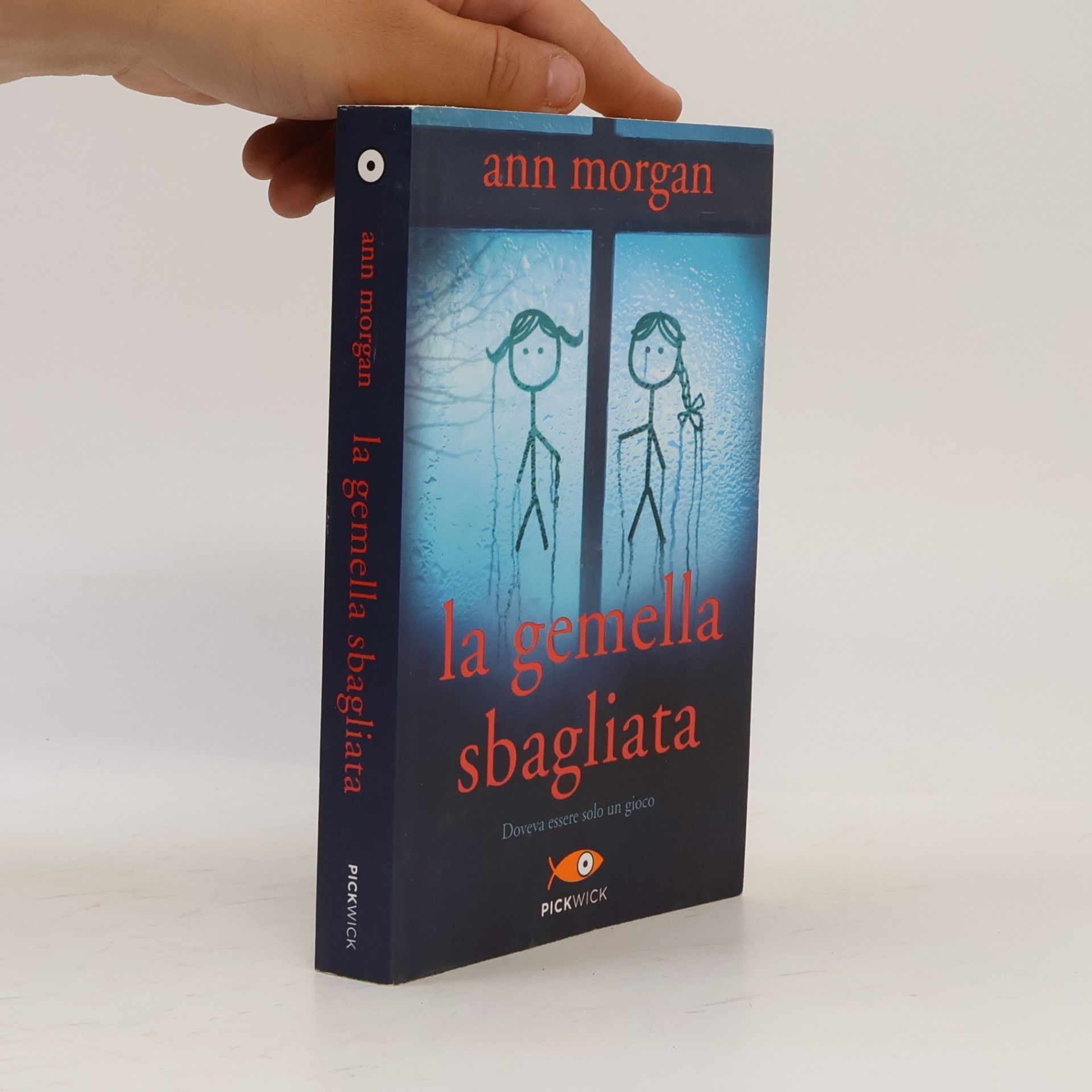 Ann Morgan La gemella sbagliata