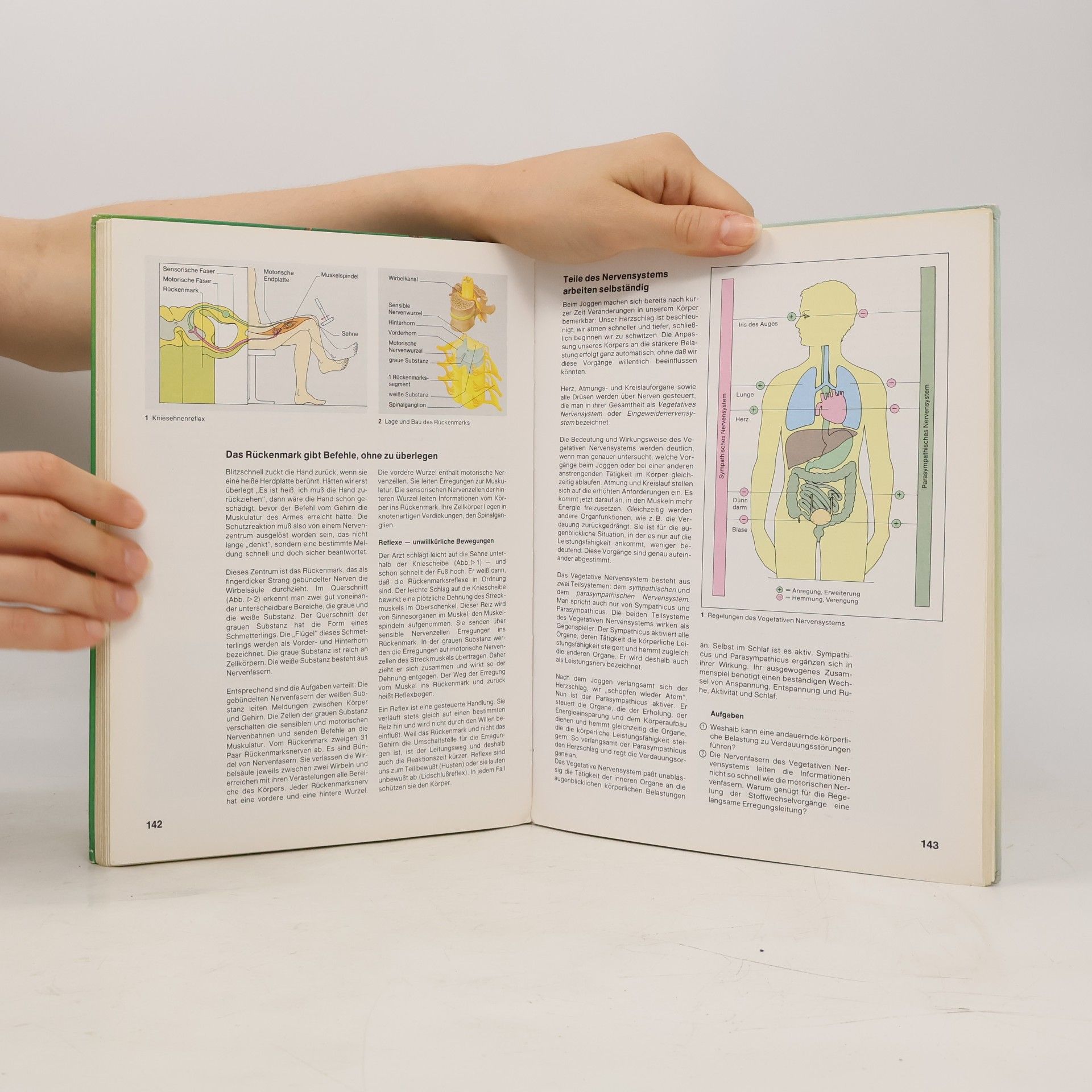 Umwelt: Biologie