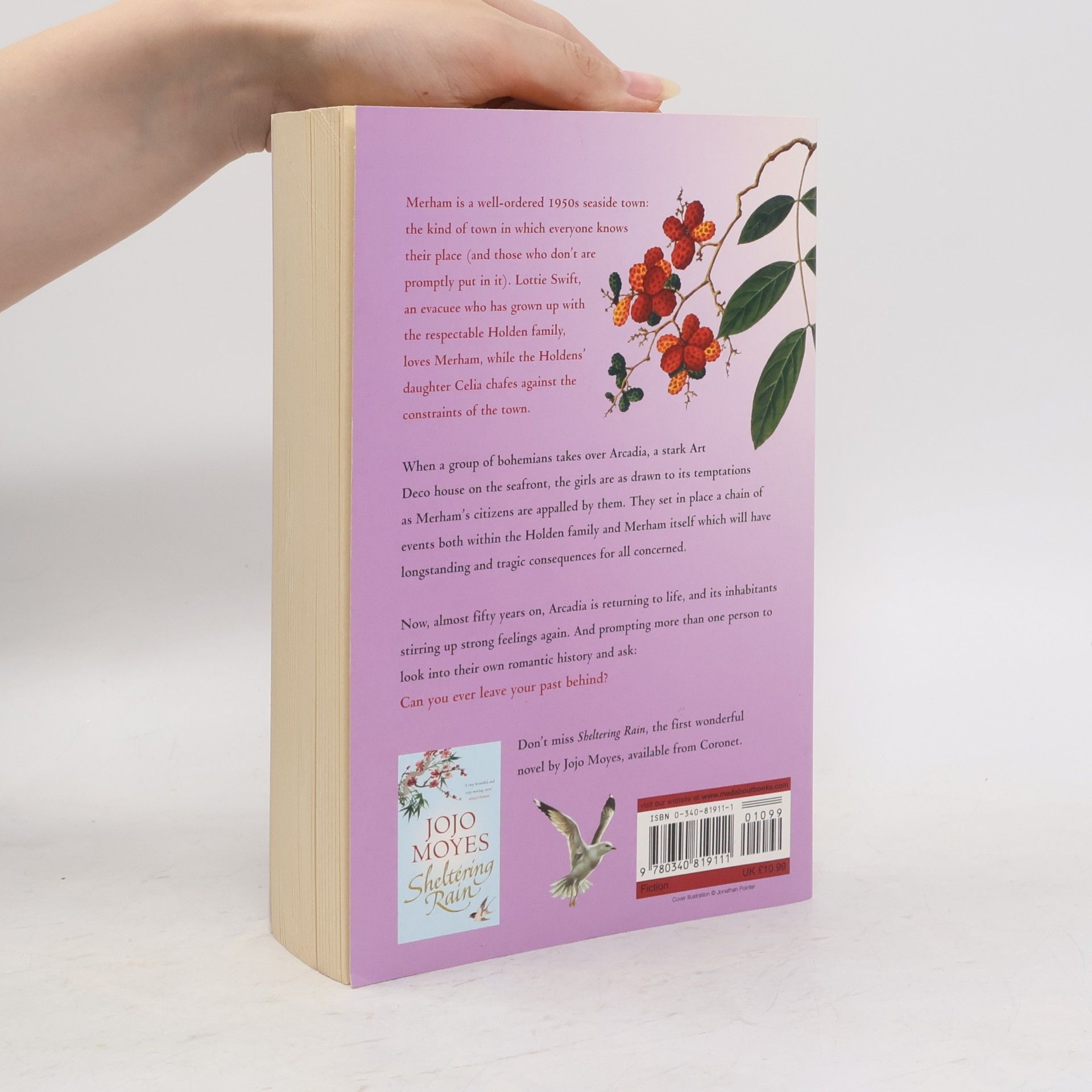 Jojo Moyes Foreign Fruit