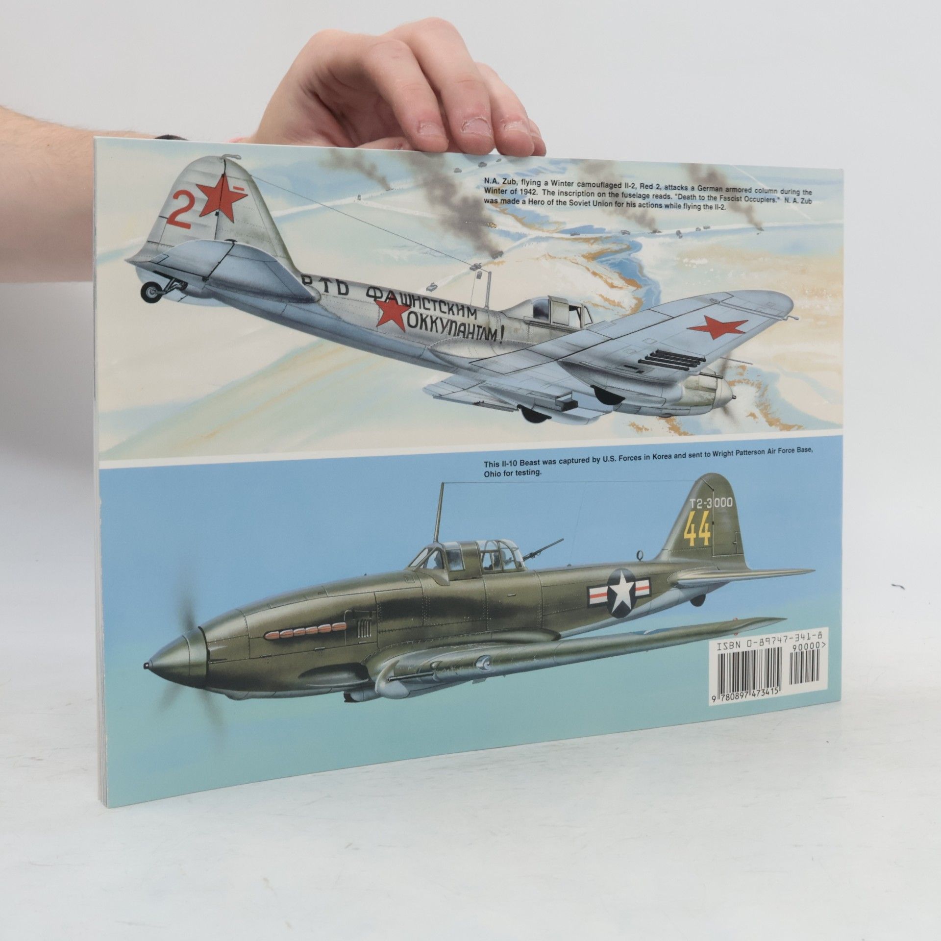 Hans-Heiri Stapfer Il-2 Stormovik in Action