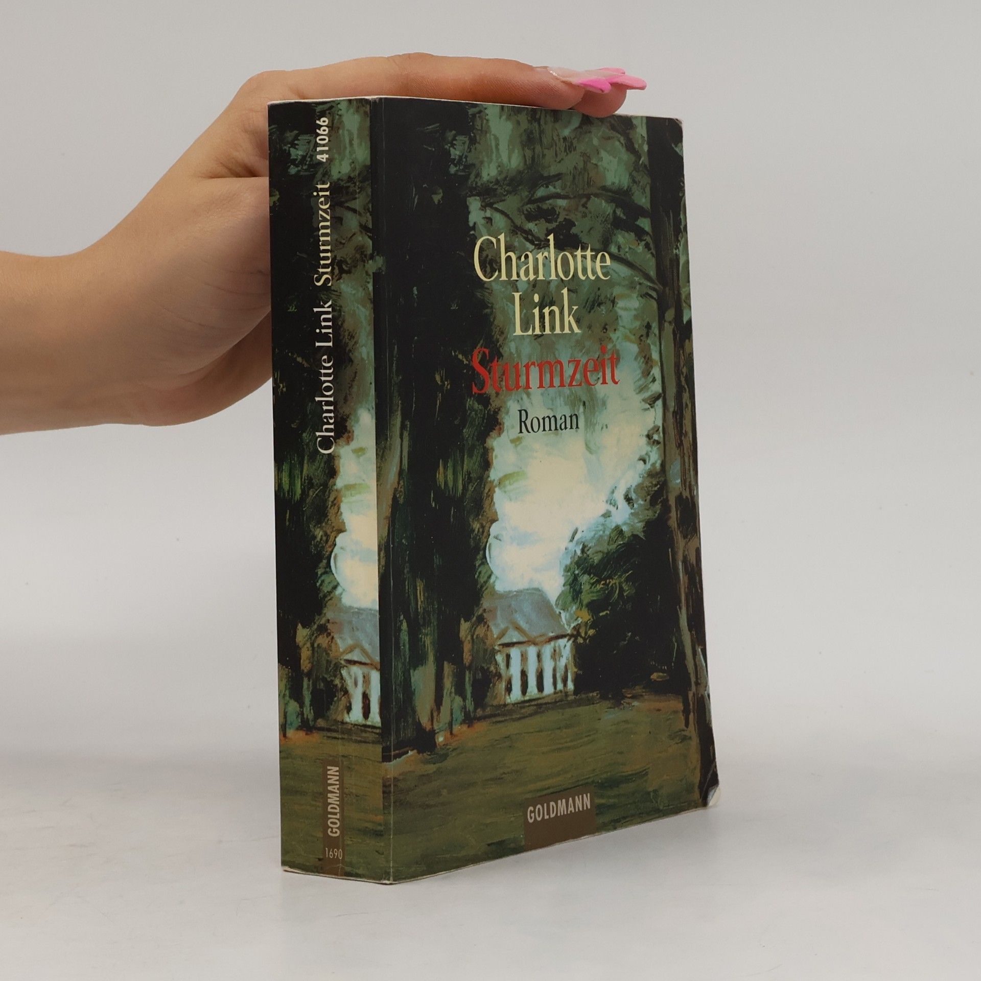 Charlotte Link Sturmzeit