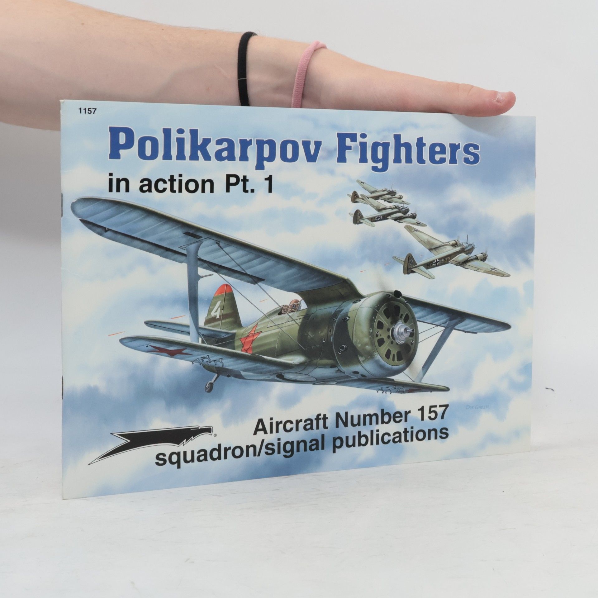 Polikarpov Fighters in Action
