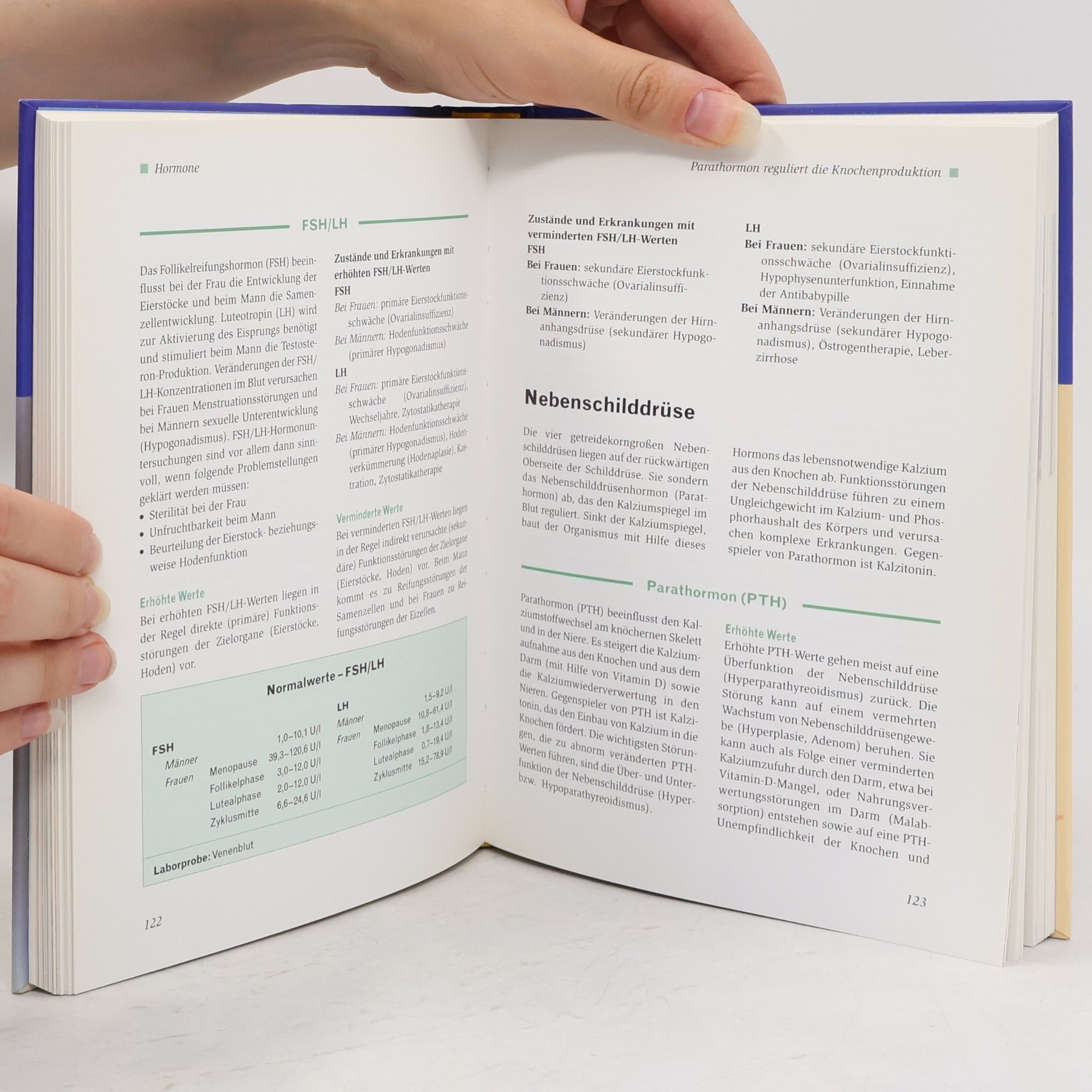 Eberhard J. Wormer Handbuch Normalwerte