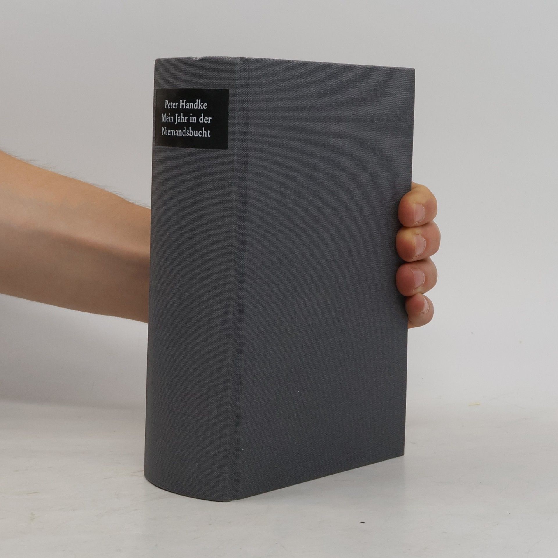 Peter Handke Mein Jahr in der Niemandsbucht