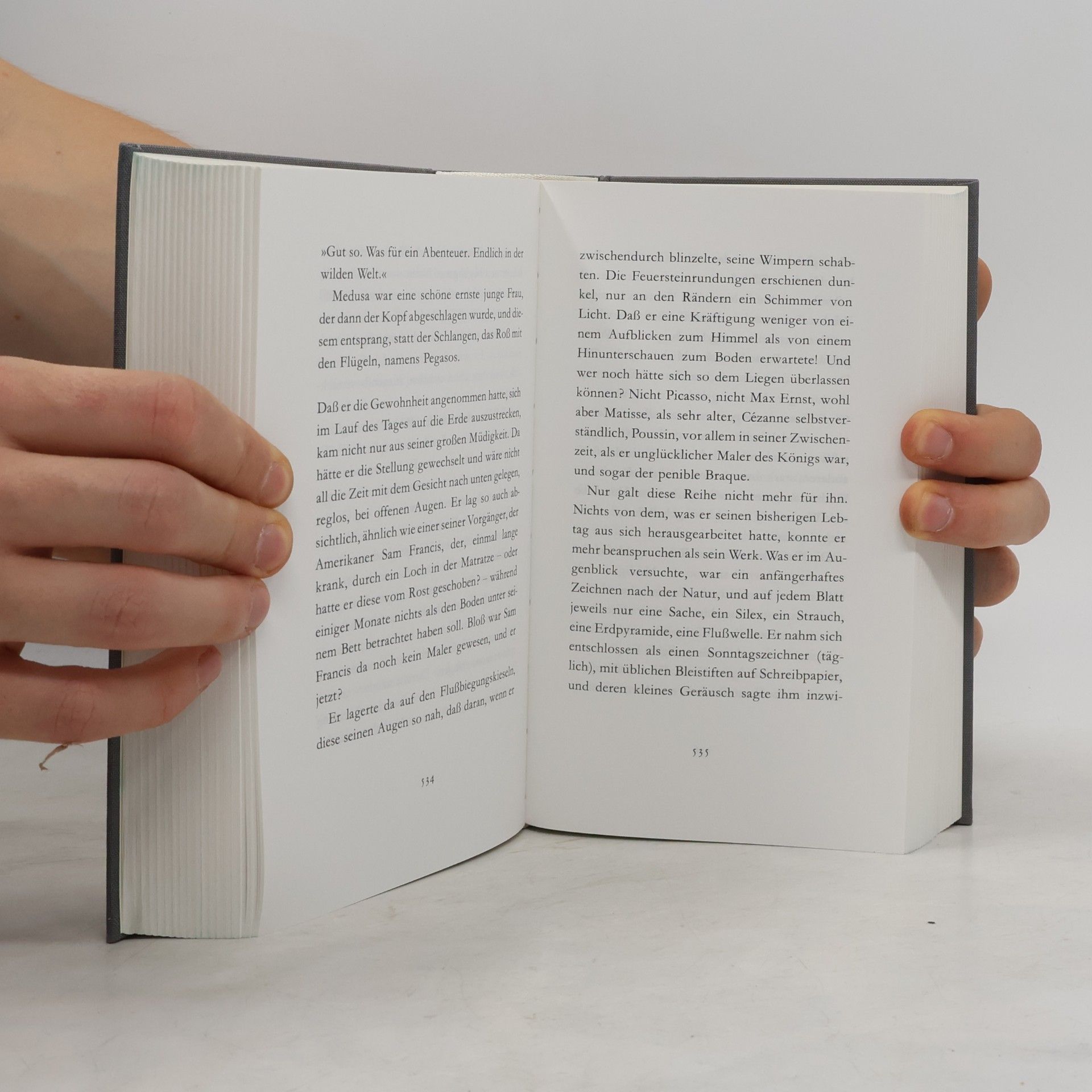 Peter Handke Mein Jahr in der Niemandsbucht