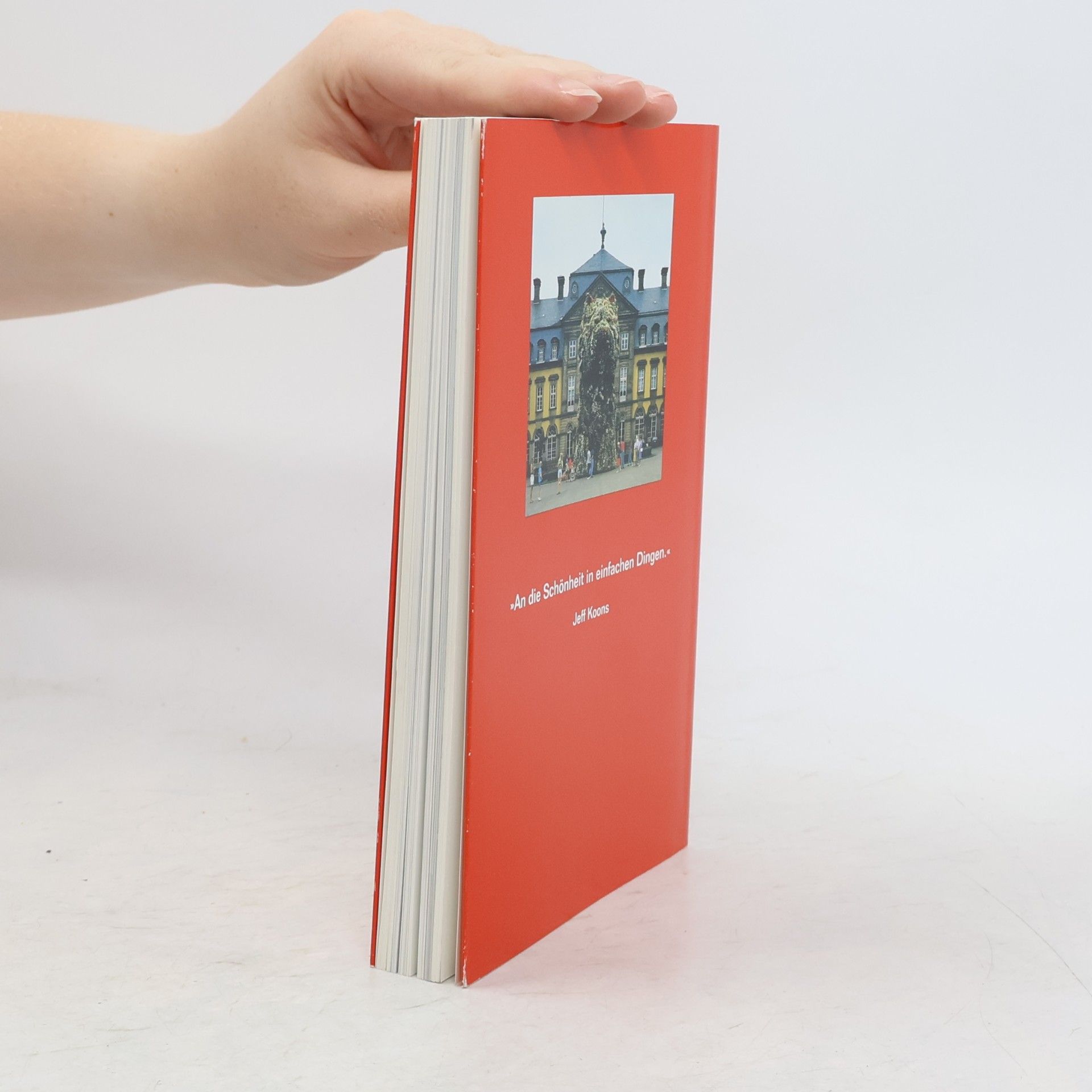 Jeff Koons Das Jeff-Koons-Handbuch
