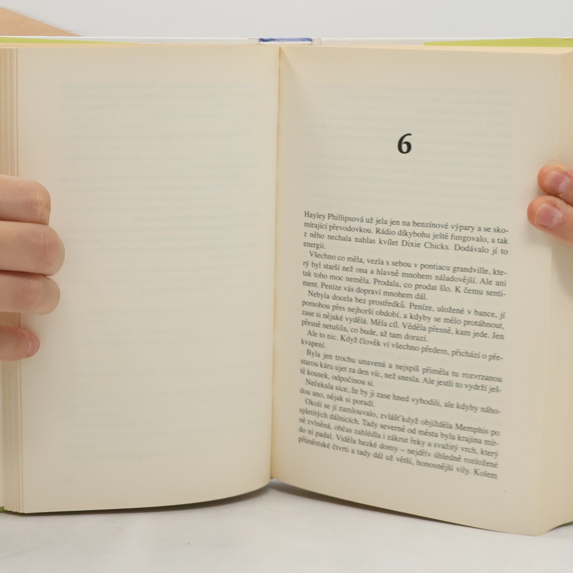 Nora Roberts Modrá jiřina