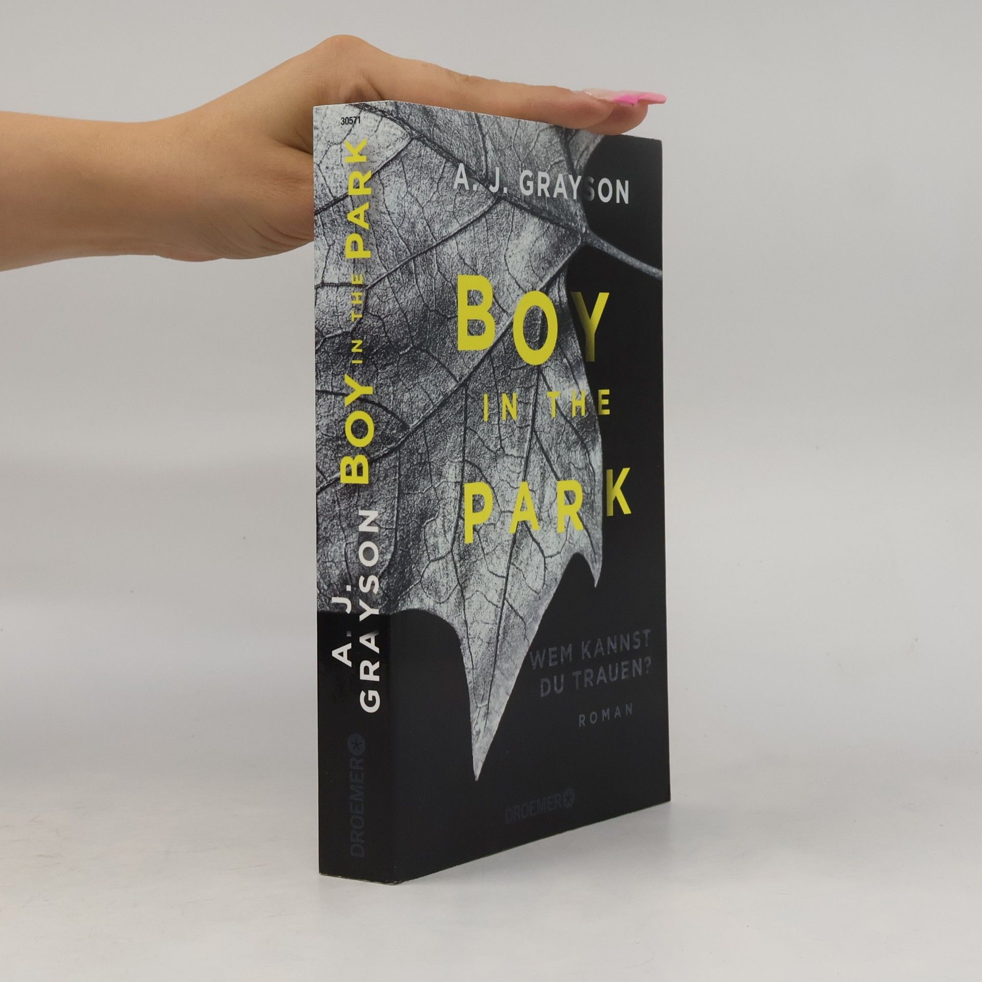 A. J. Grayson Boy in the park