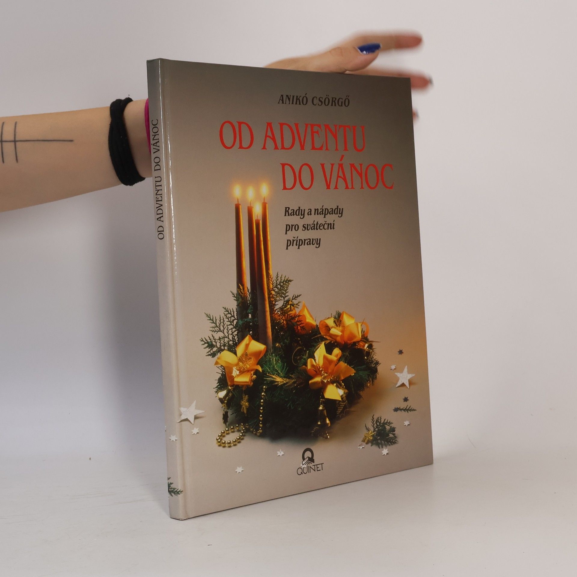 Anikó Csörgő Od adventu do Vánoc. Rady a nápady pro sváteční přípravy